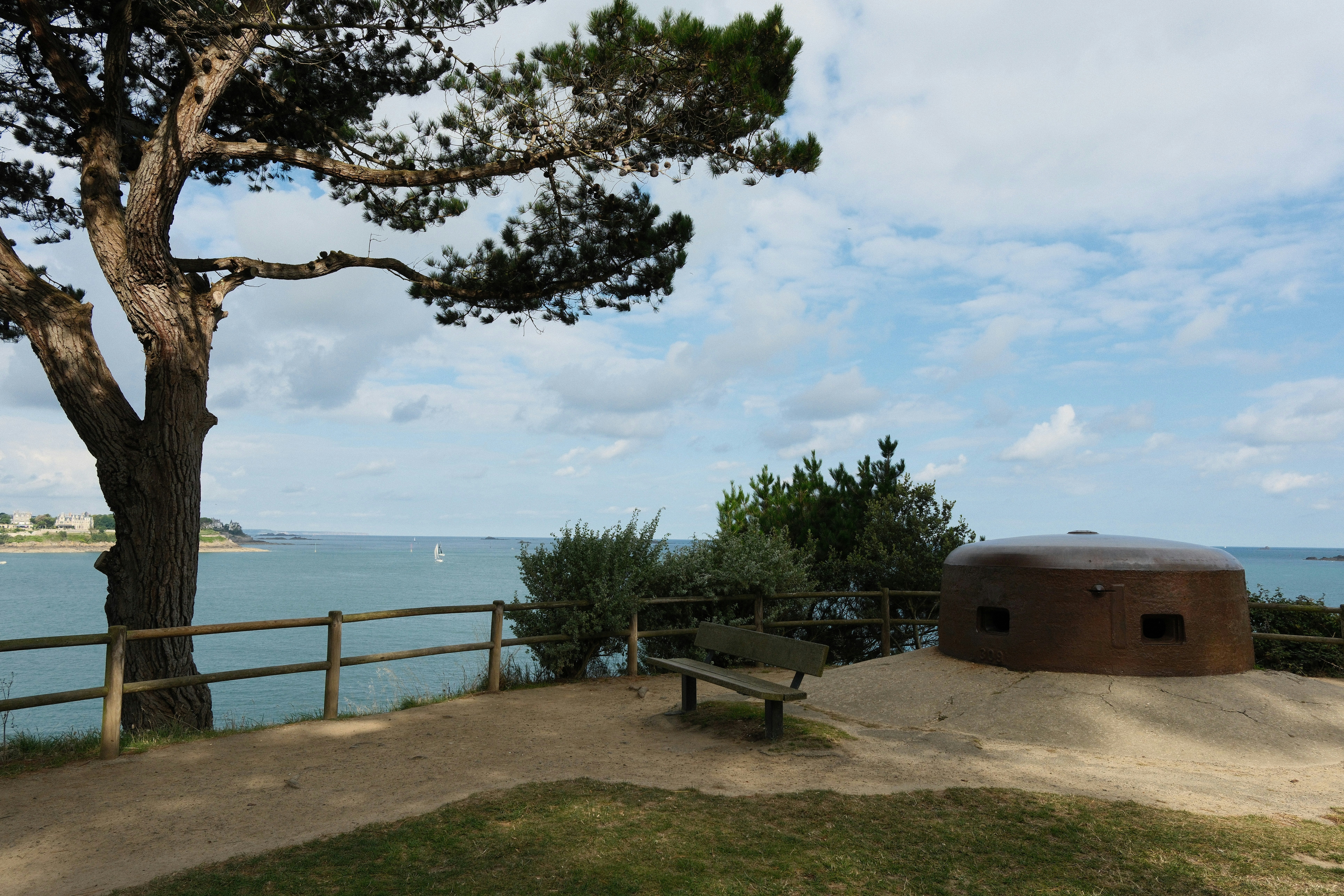 Coastal bunker with ocean view and pine tree
