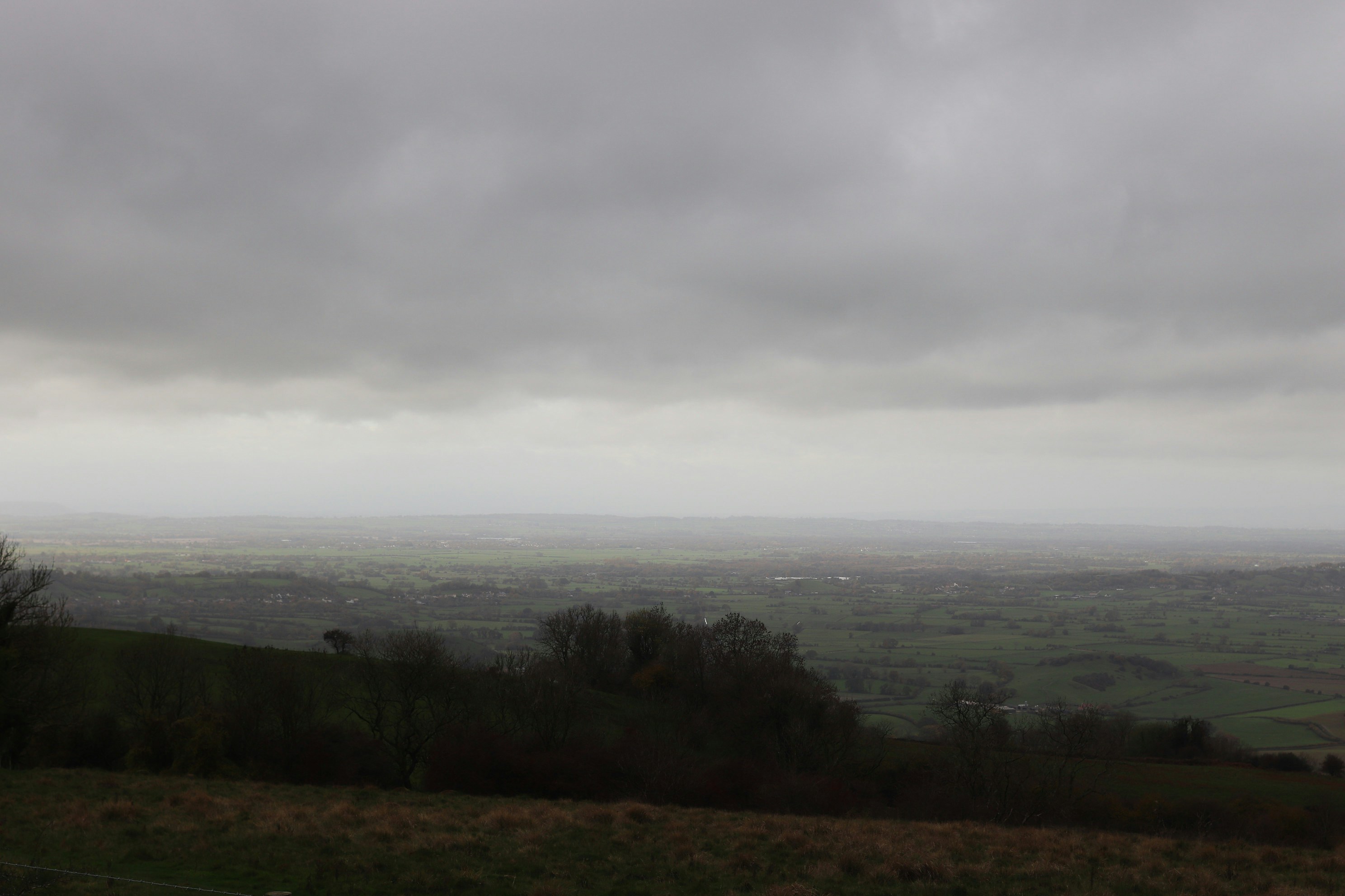 Photo by tanyabarrow