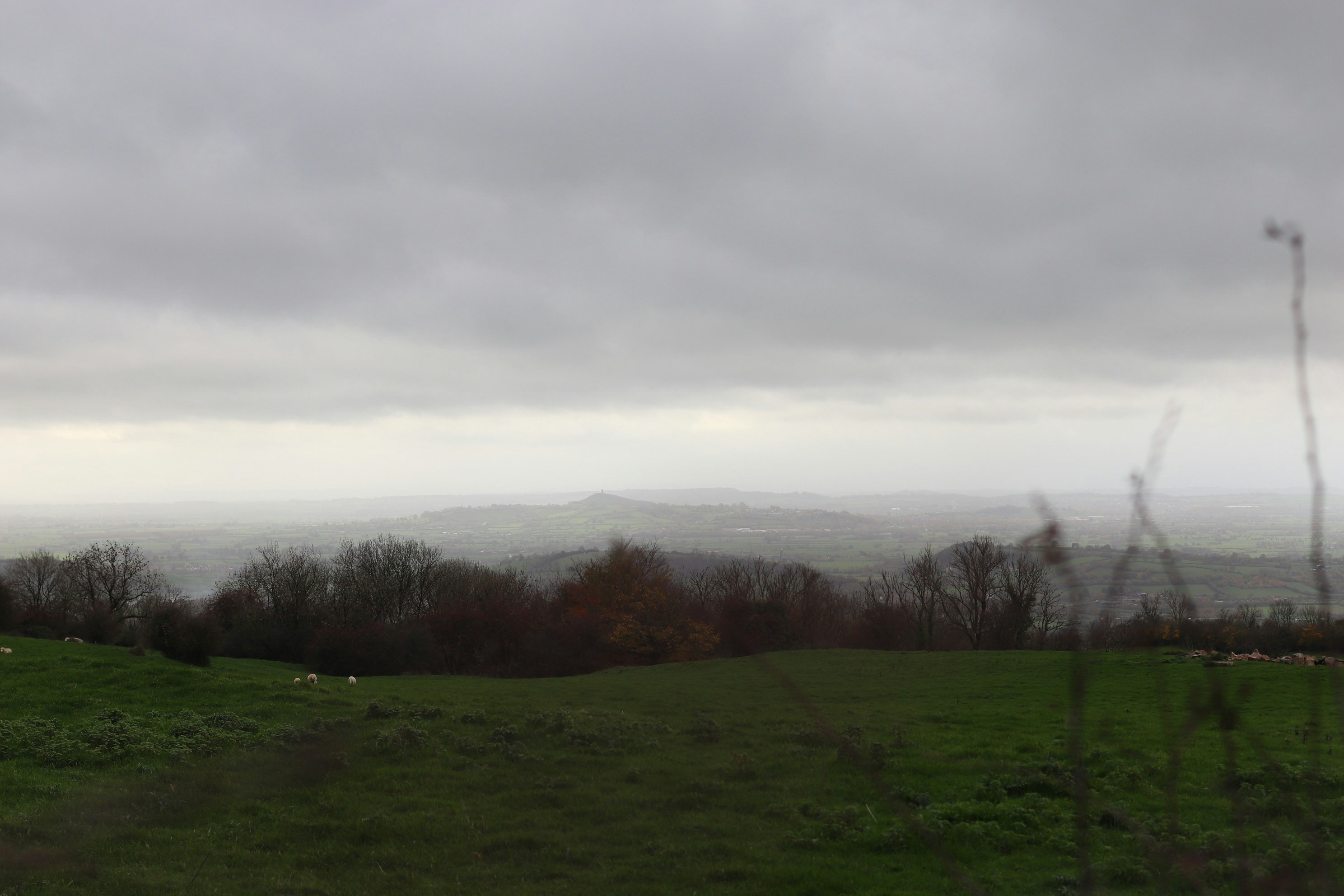 Photo by tanyabarrow