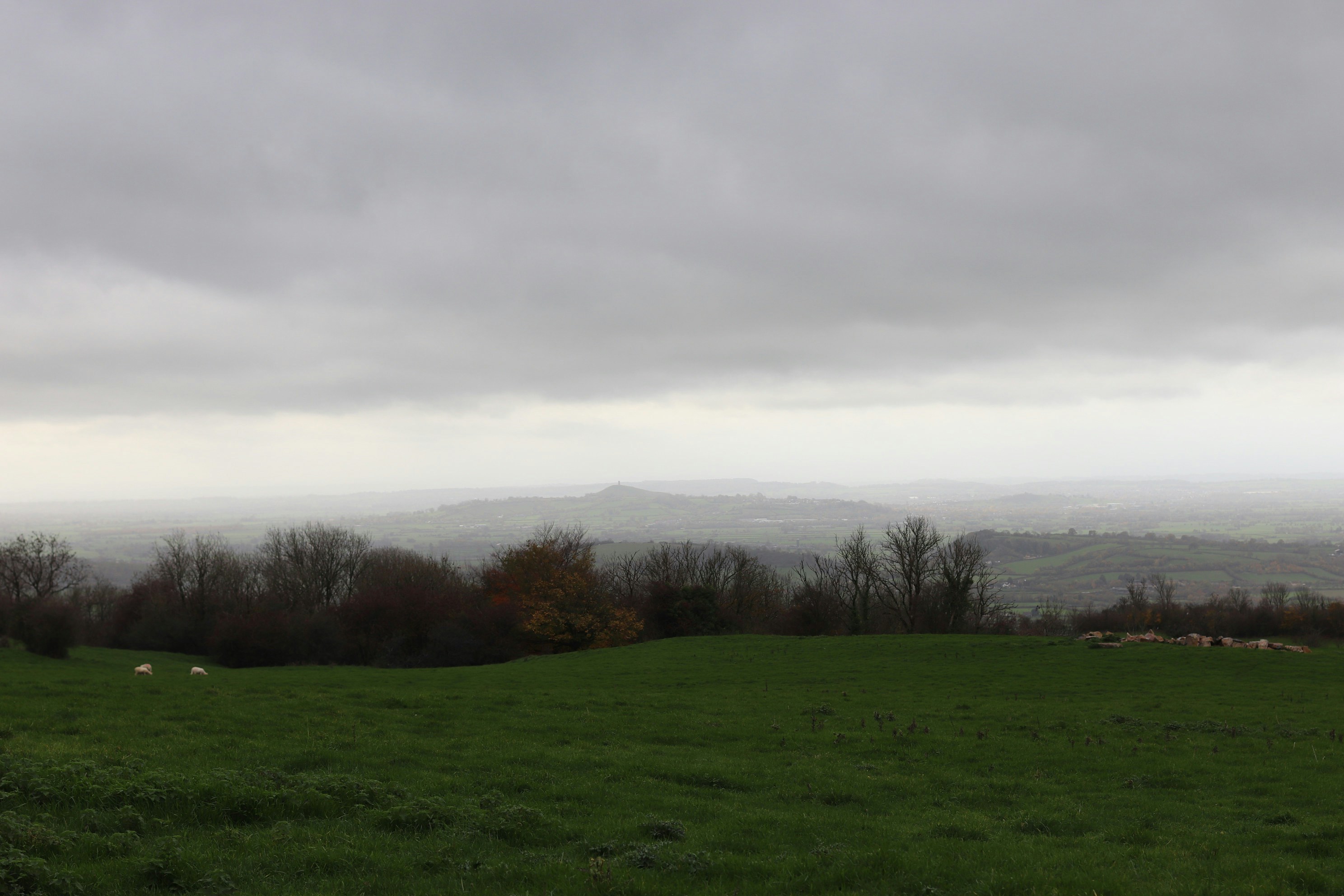 Photo by tanyabarrow