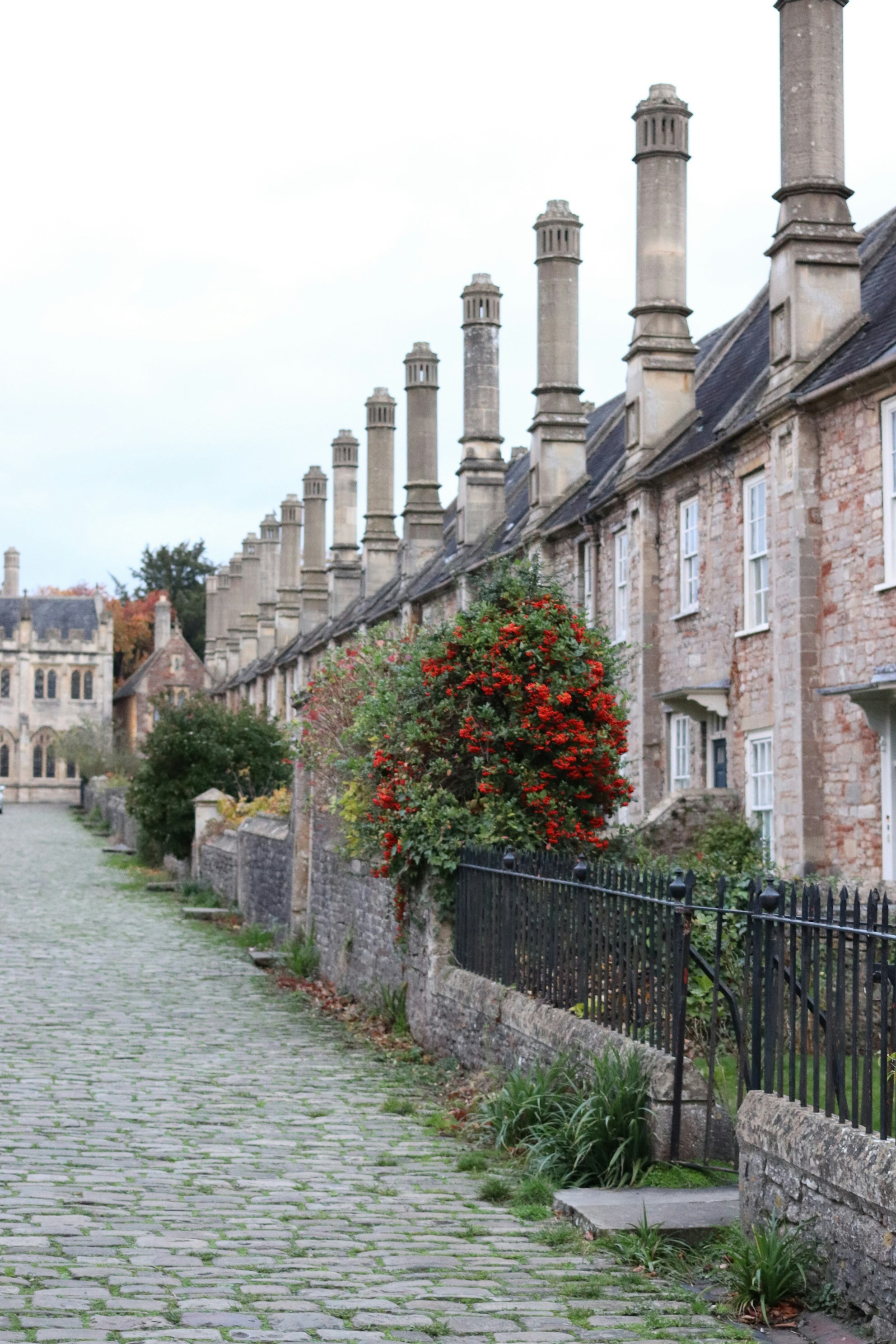 Photo by tanyabarrow