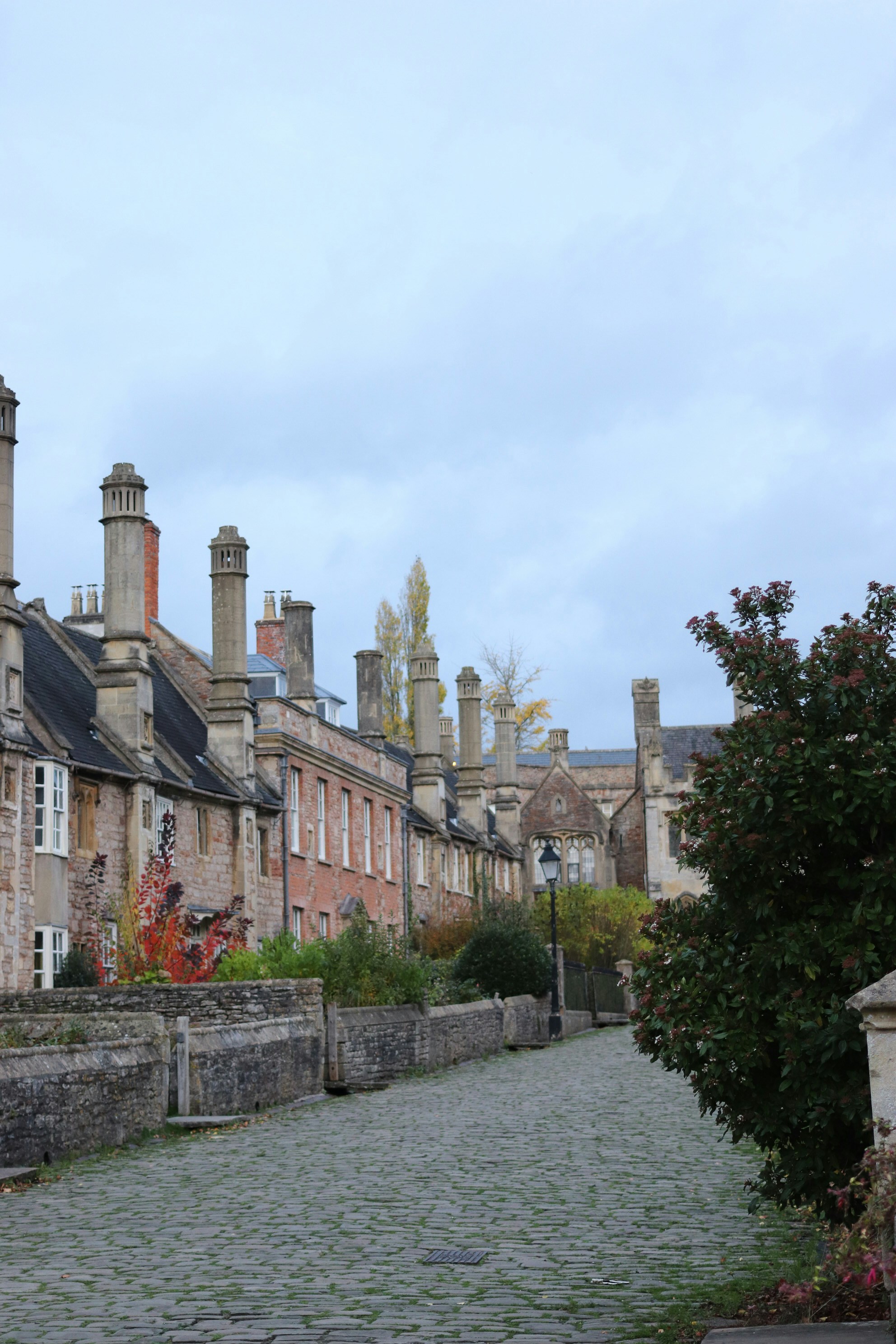 Photo by tanyabarrow