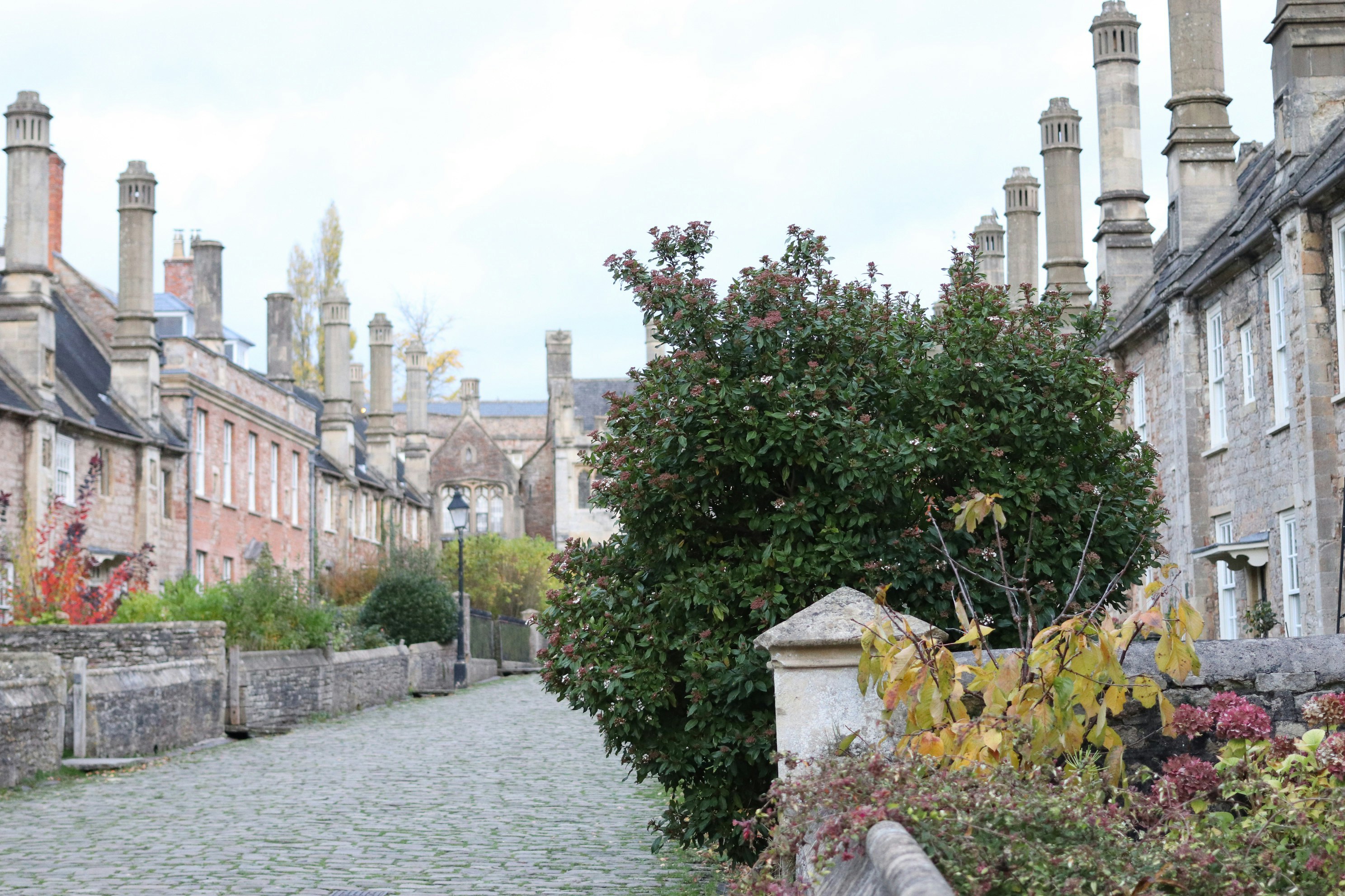 Row of historic houses with stone chimneys and trees.