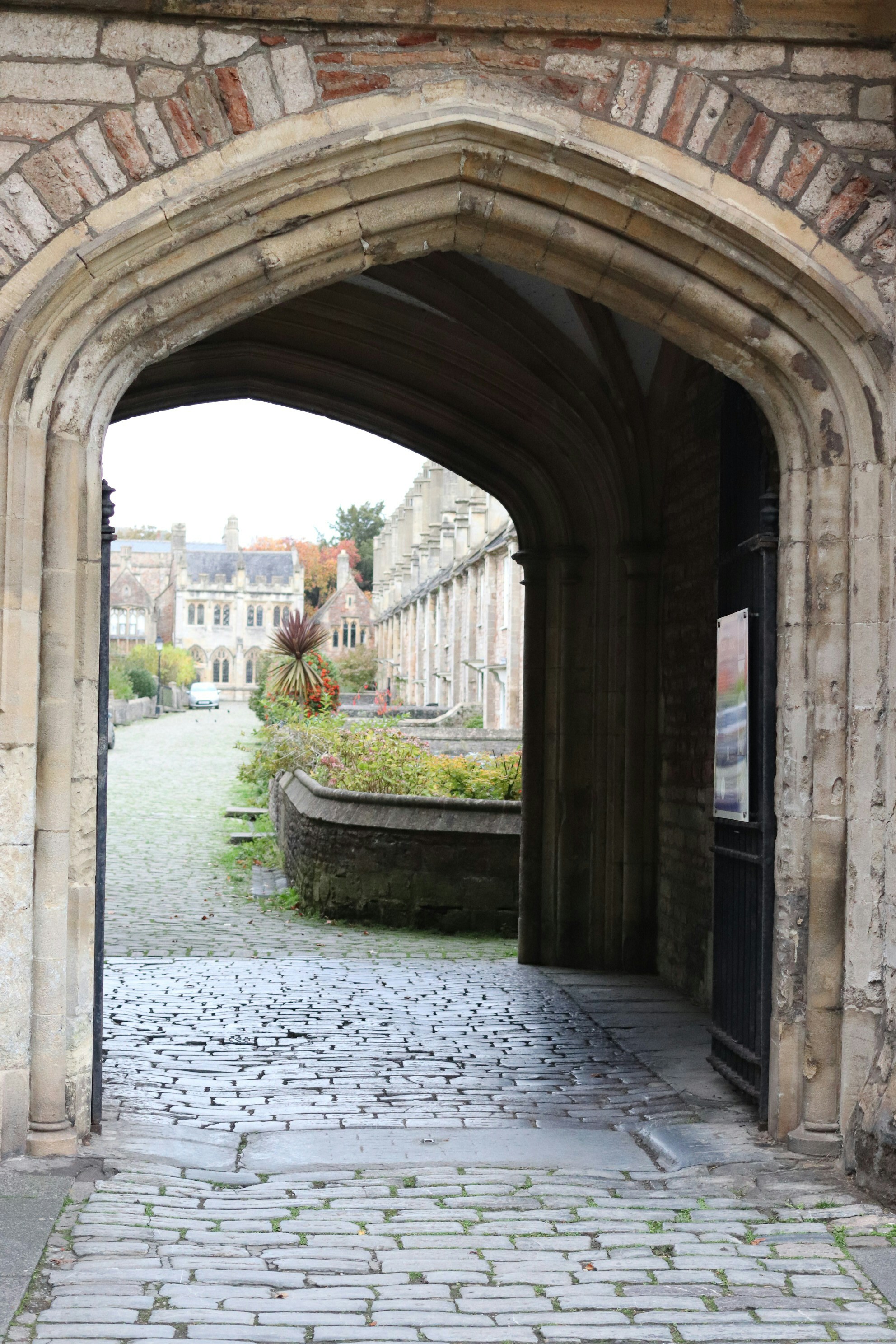 Photo by tanyabarrow