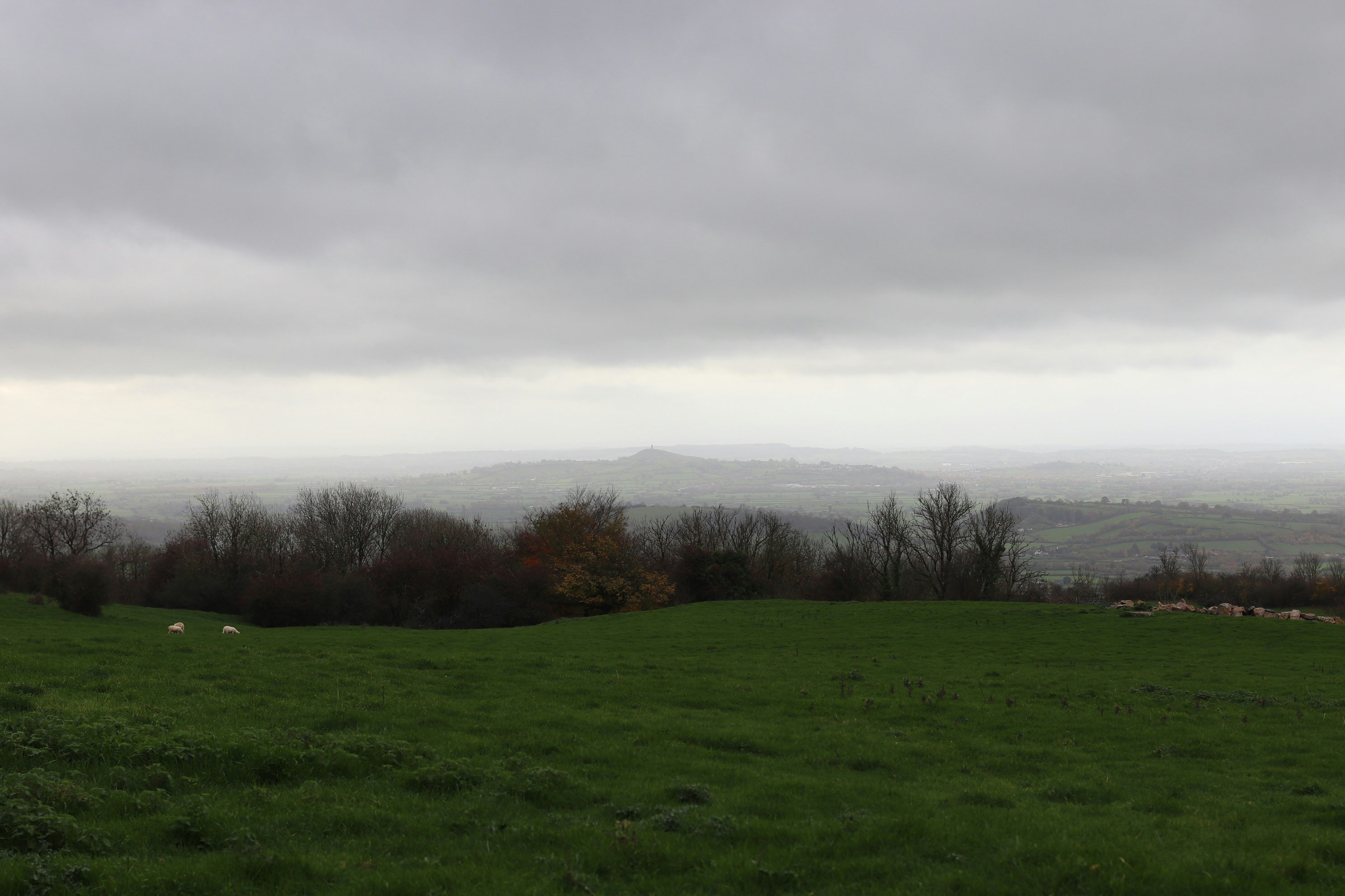 Photo by tanyabarrow