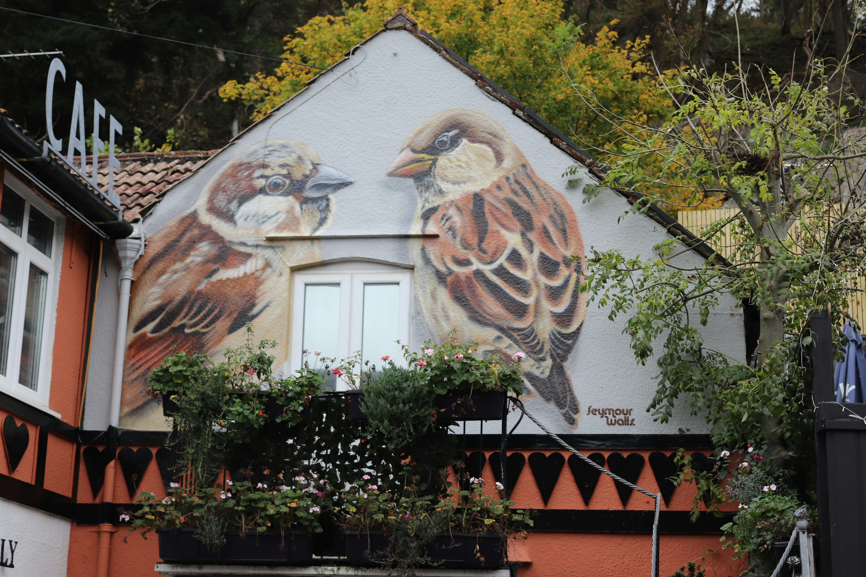 Modern house exterior with a new coat of gray paint
