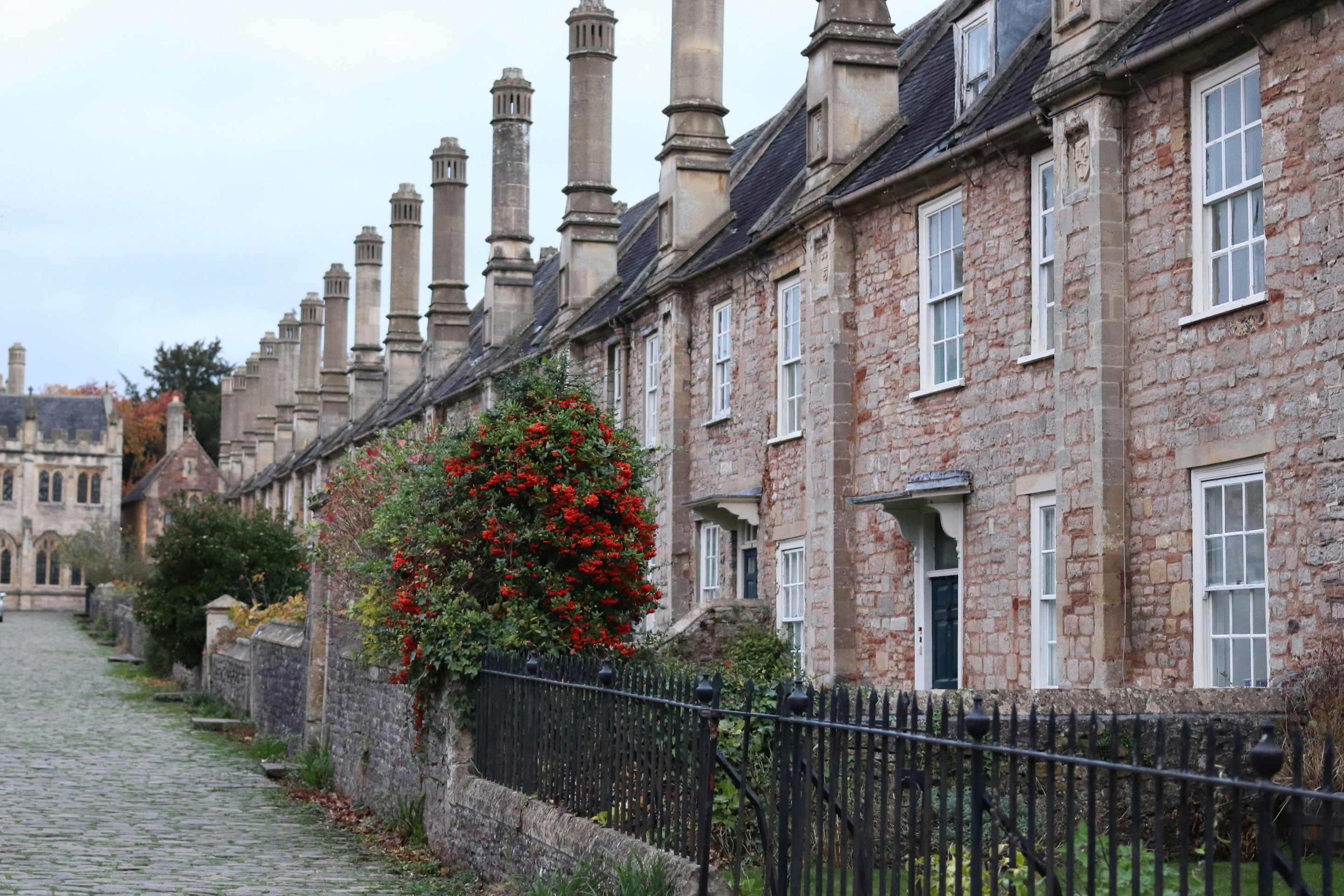 Photo by tanyabarrow