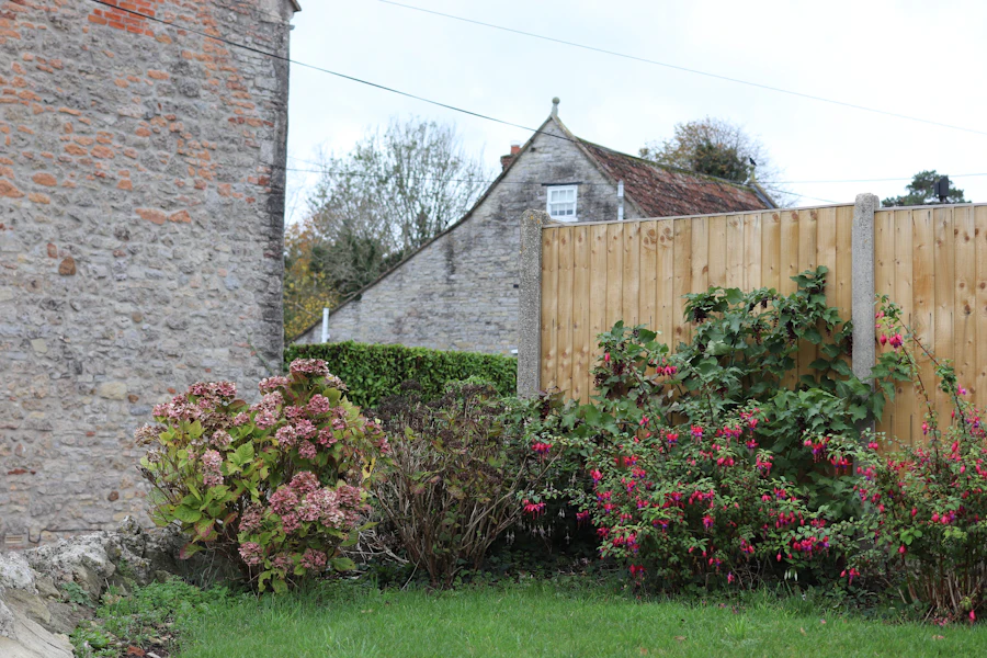 A newly fitted close-board fence panel run beside a stone wall in a village garden.