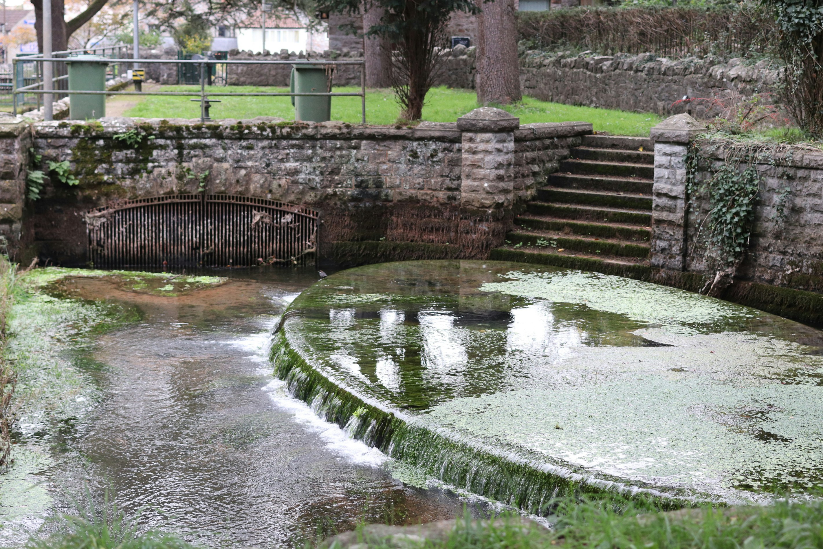 Photo by tanyabarrow