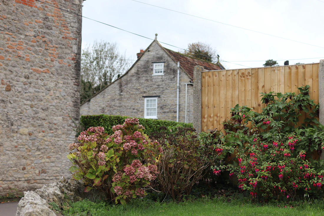 A stone house with flowering bushes and a wooden fence