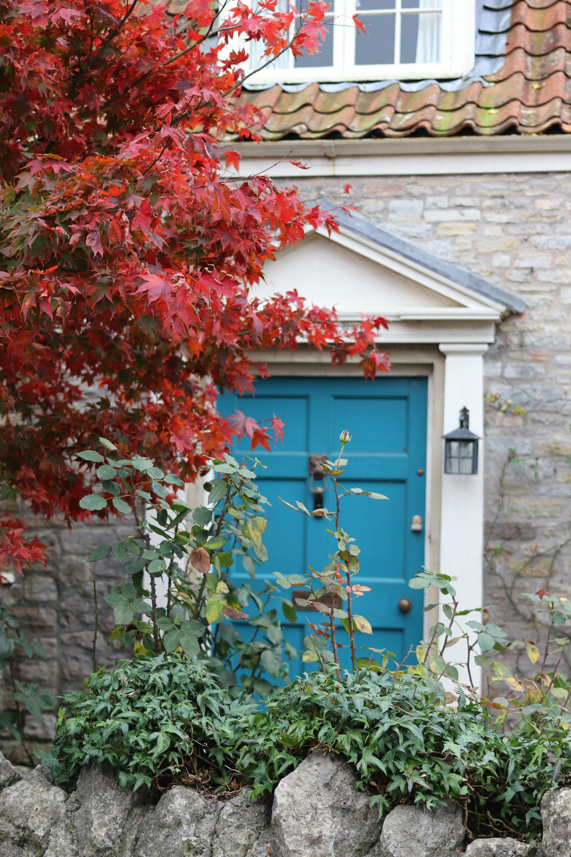 Bright blue door framed by red autumn leaves and greenery.