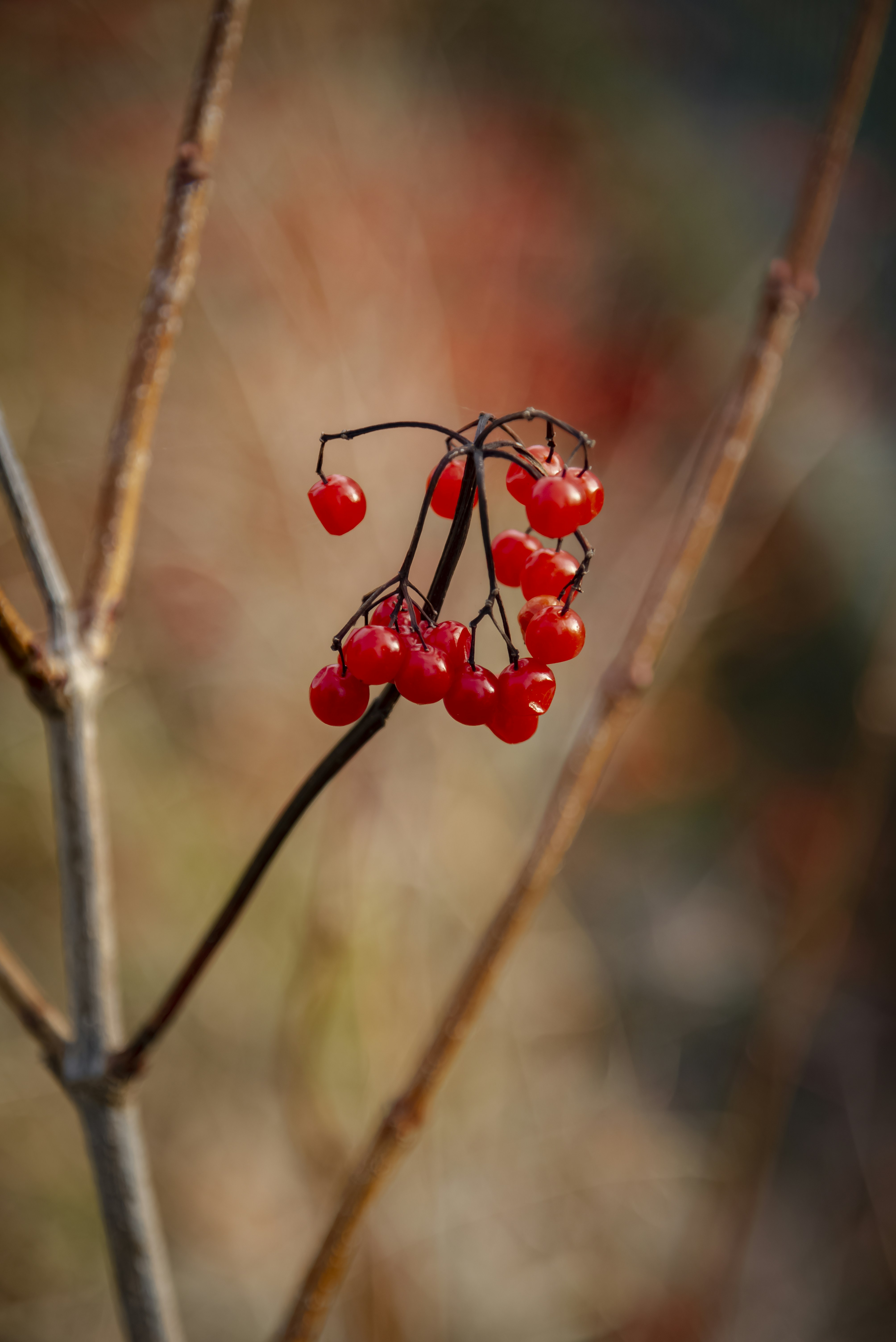 Photo by malwinanogaj