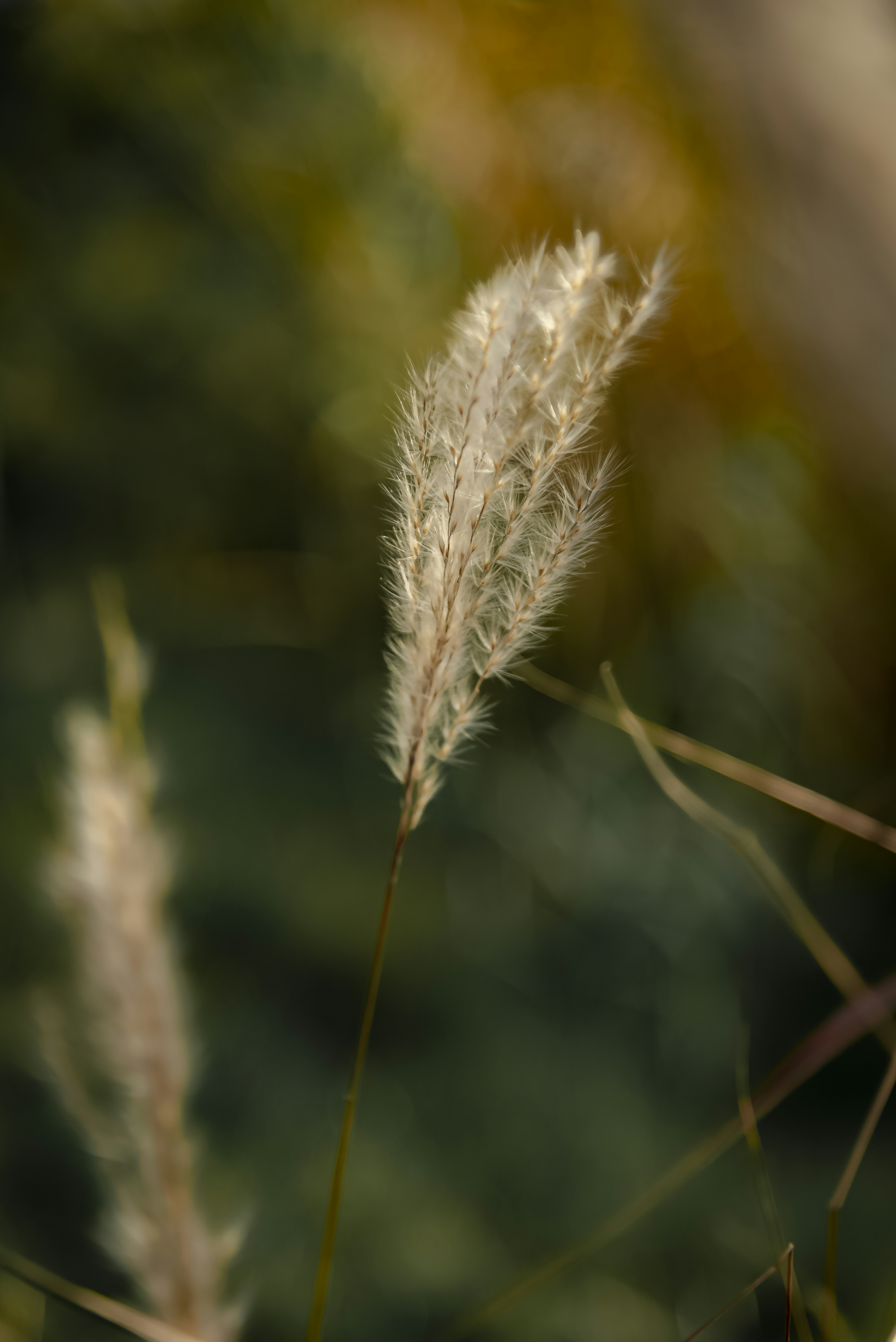 Photo by malwinanogaj