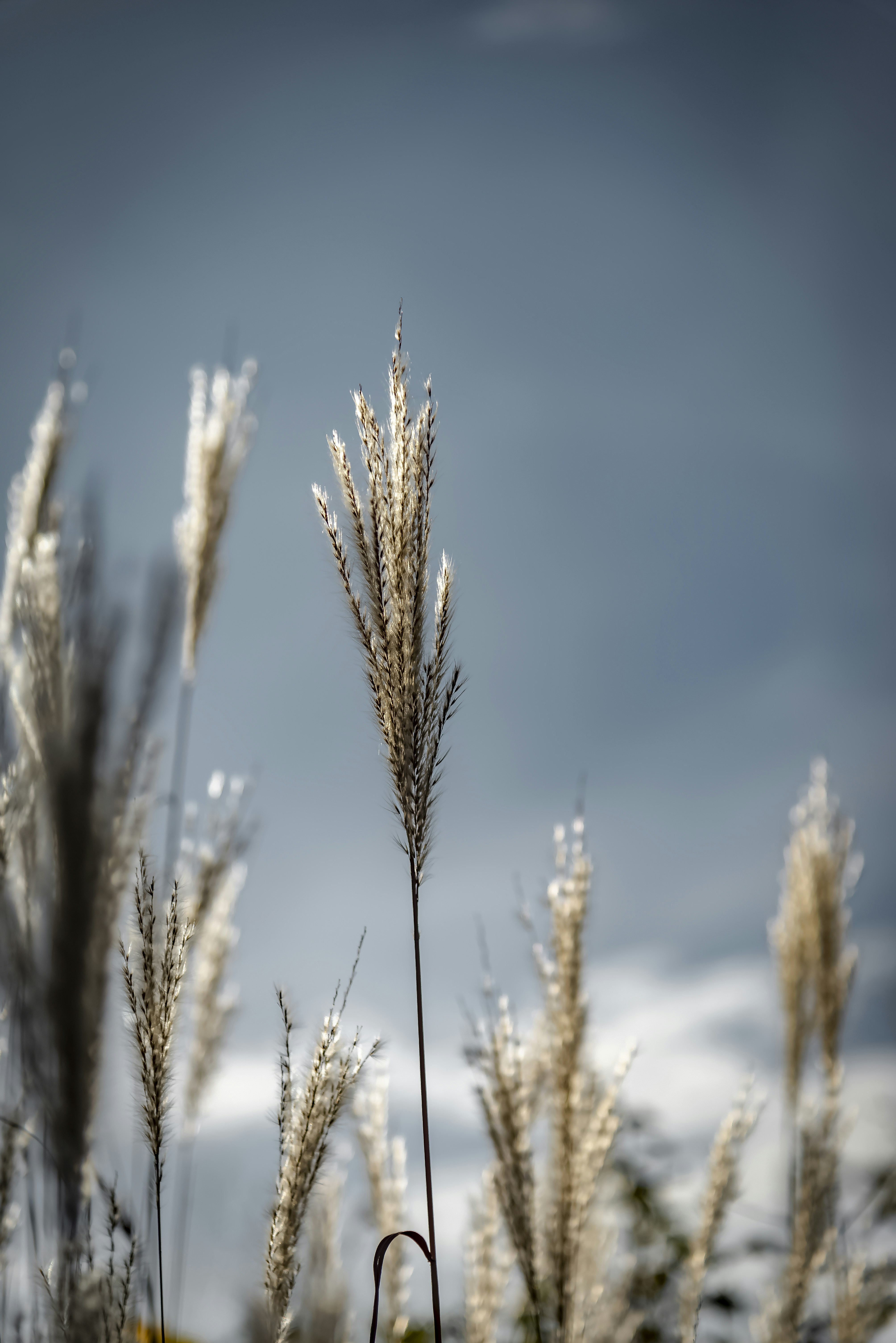 Photo by malwinanogaj