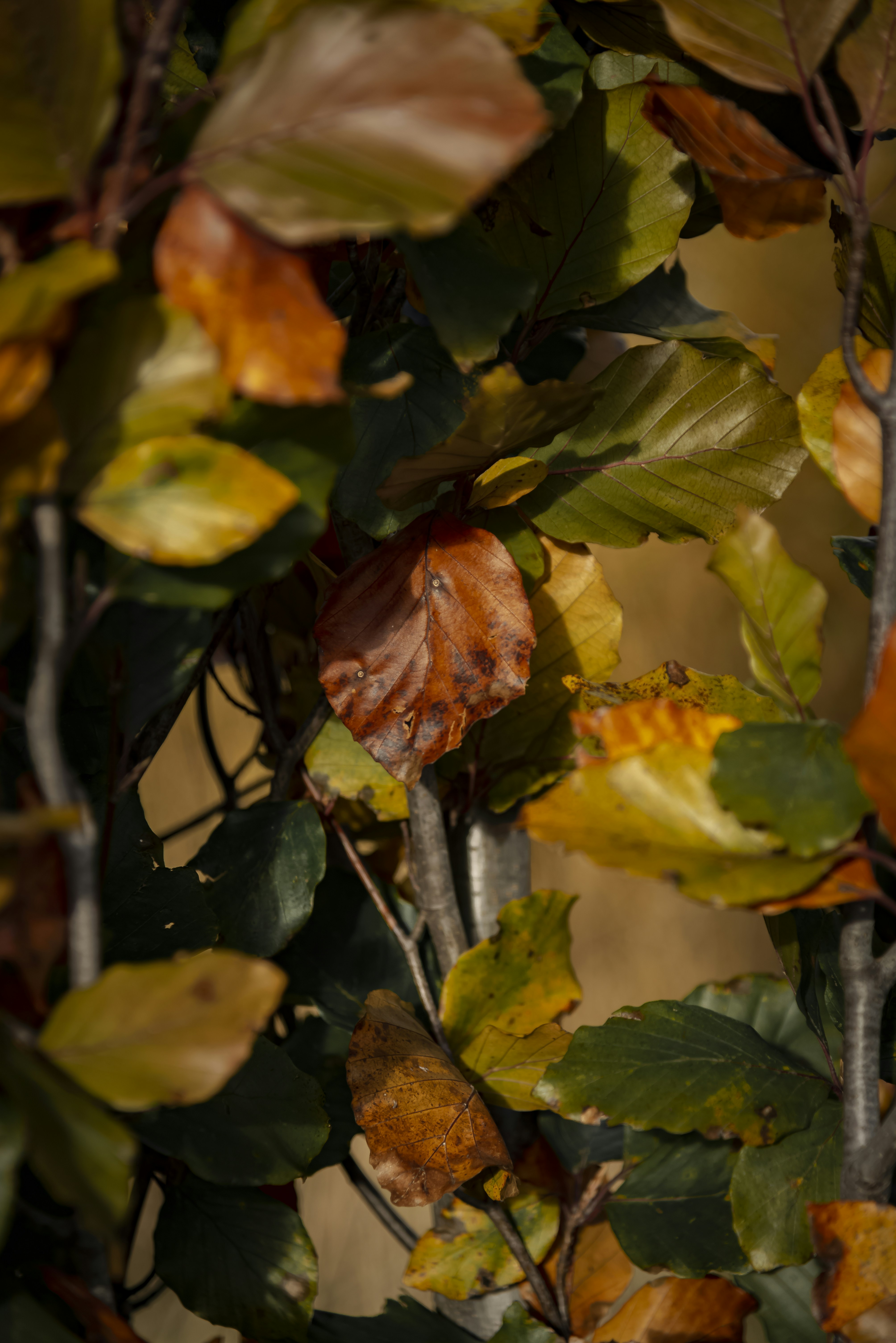 Photo by malwinanogaj