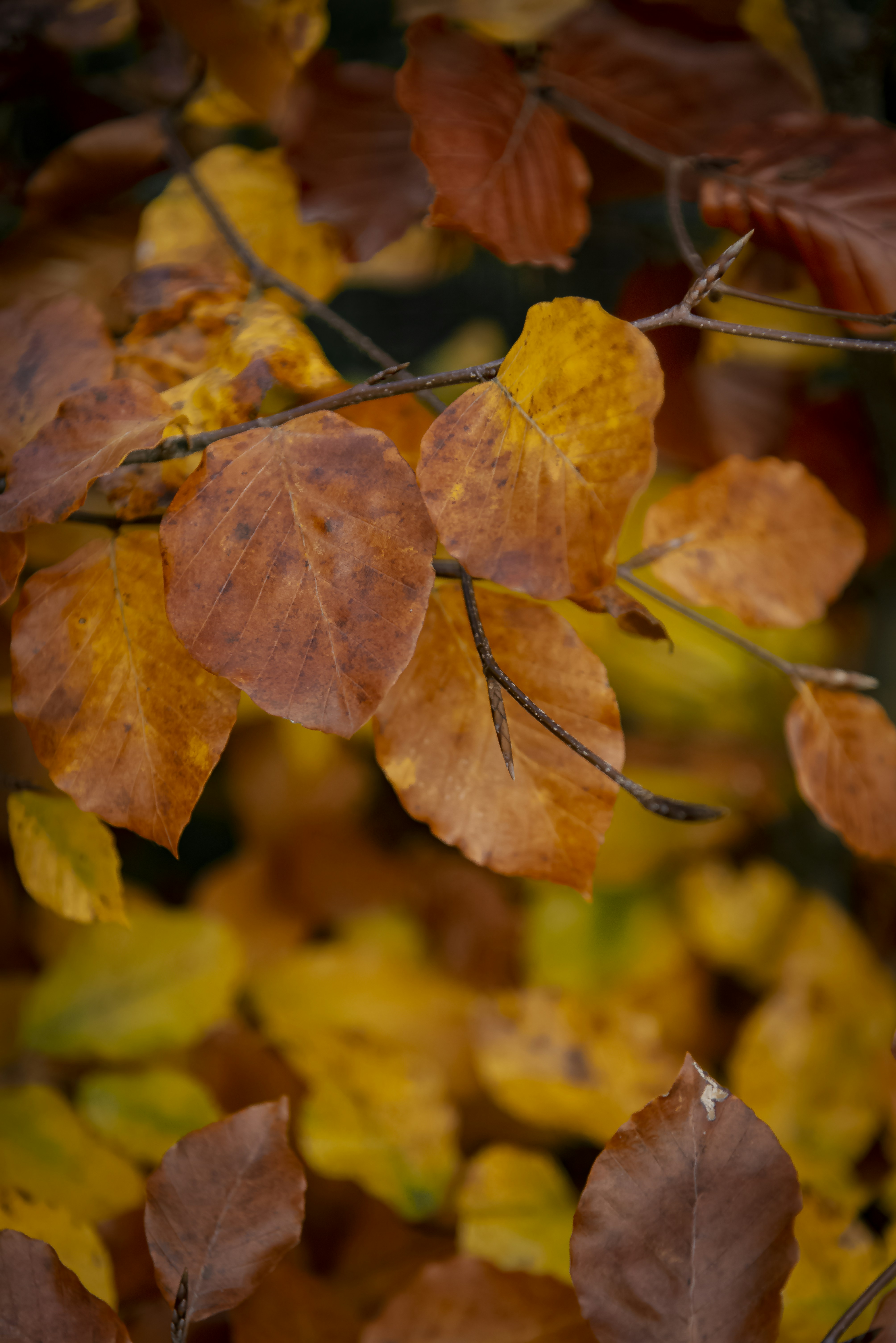 Photo by malwinanogaj