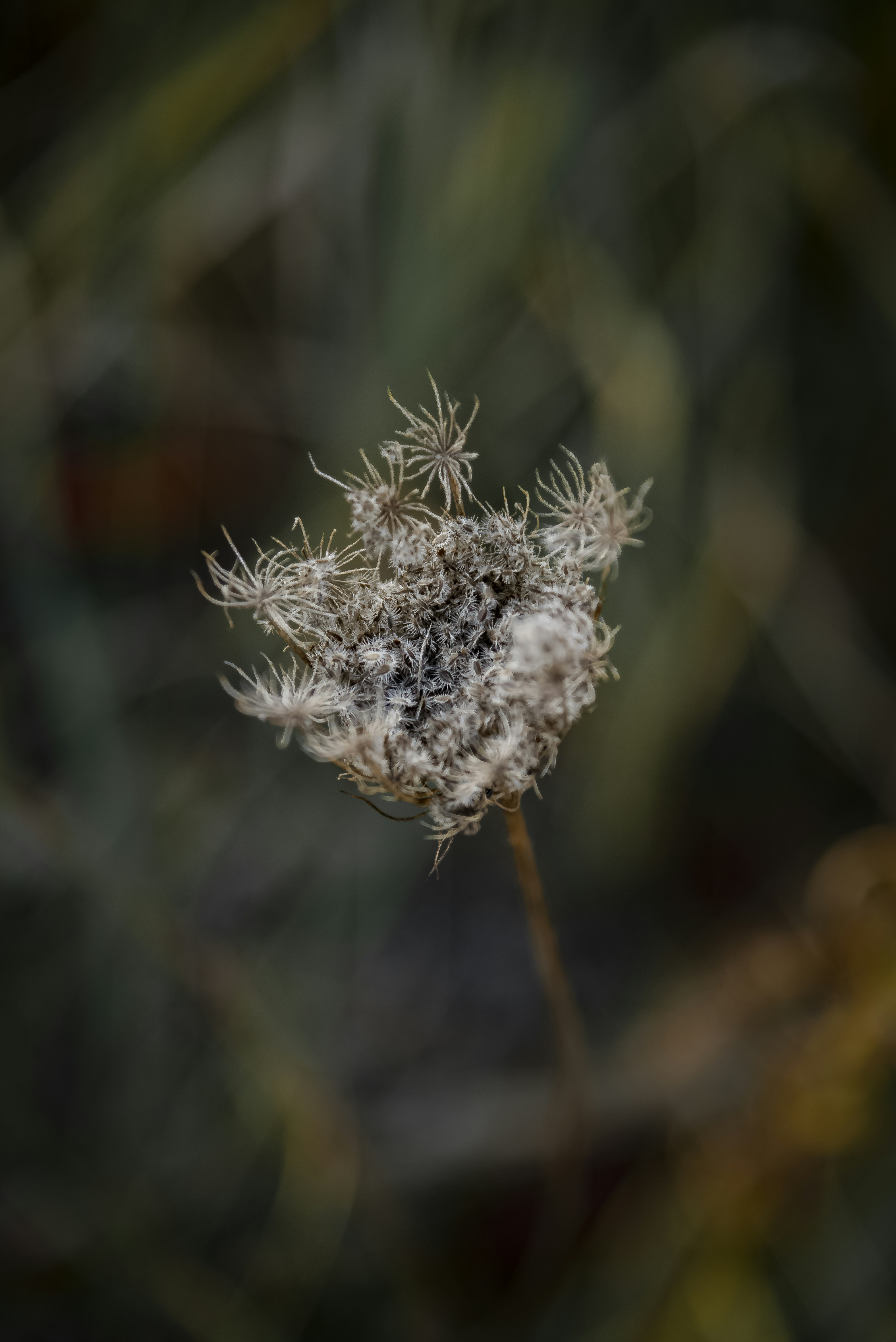 Photo by malwinanogaj