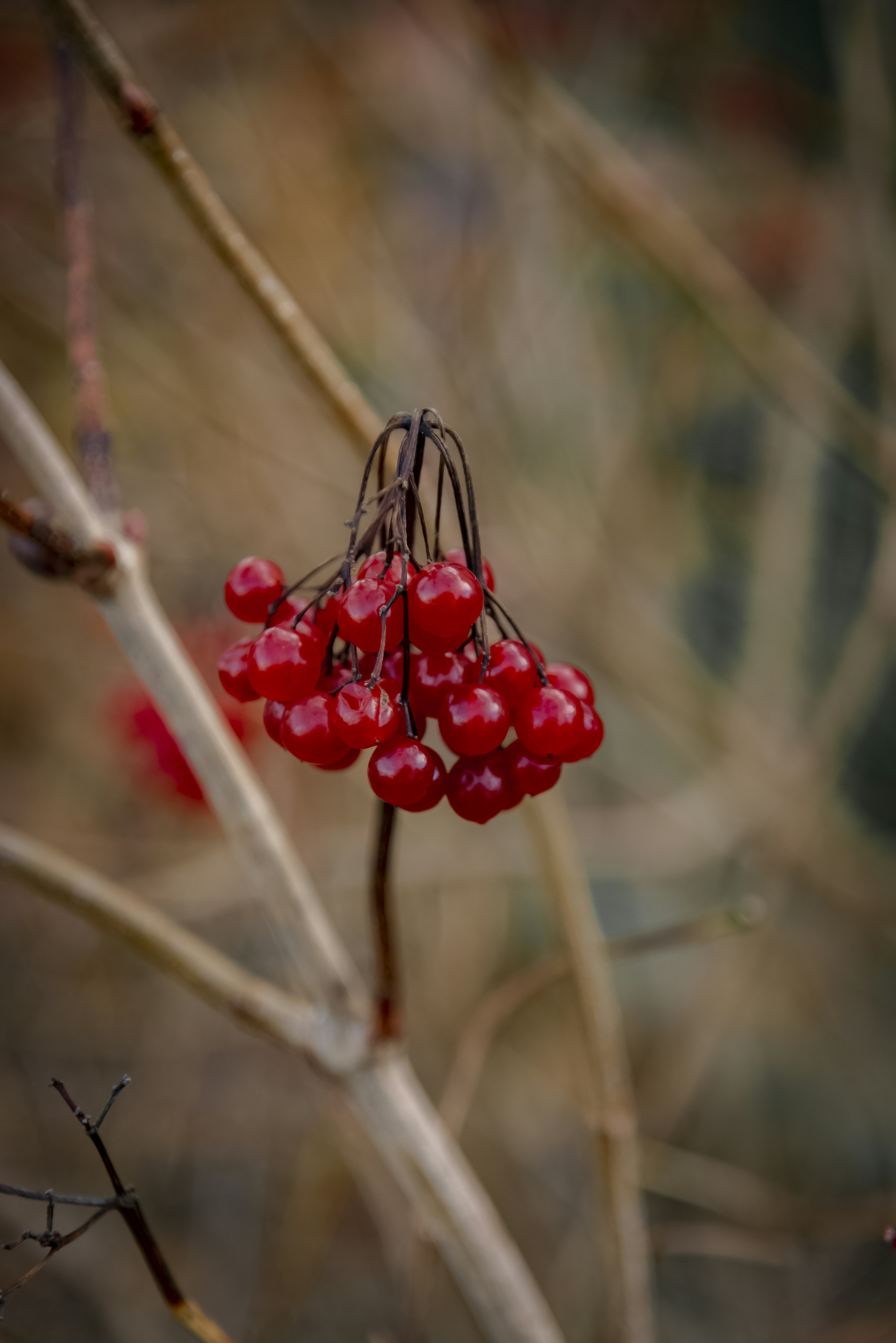 Photo by malwinanogaj