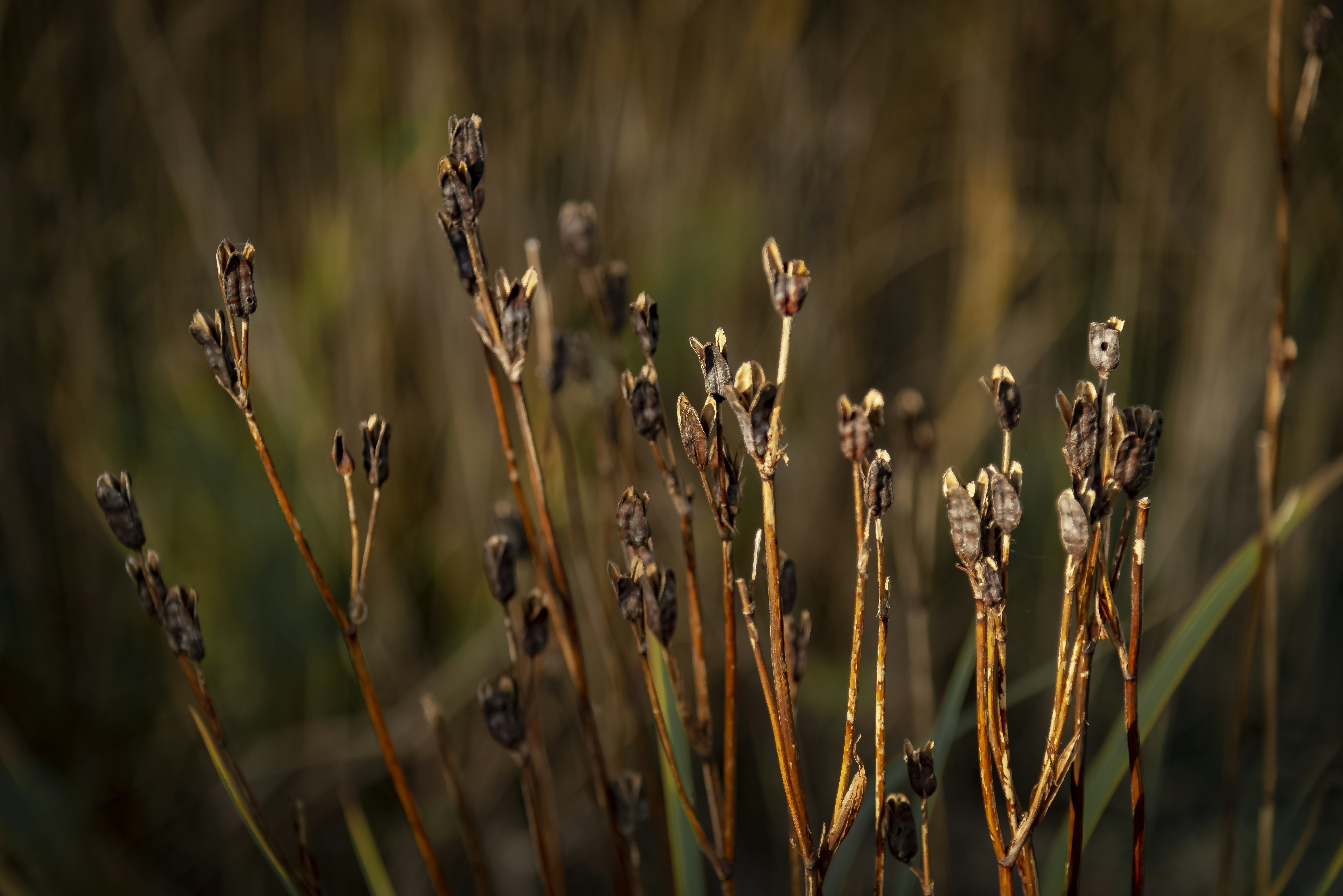 Photo by malwinanogaj