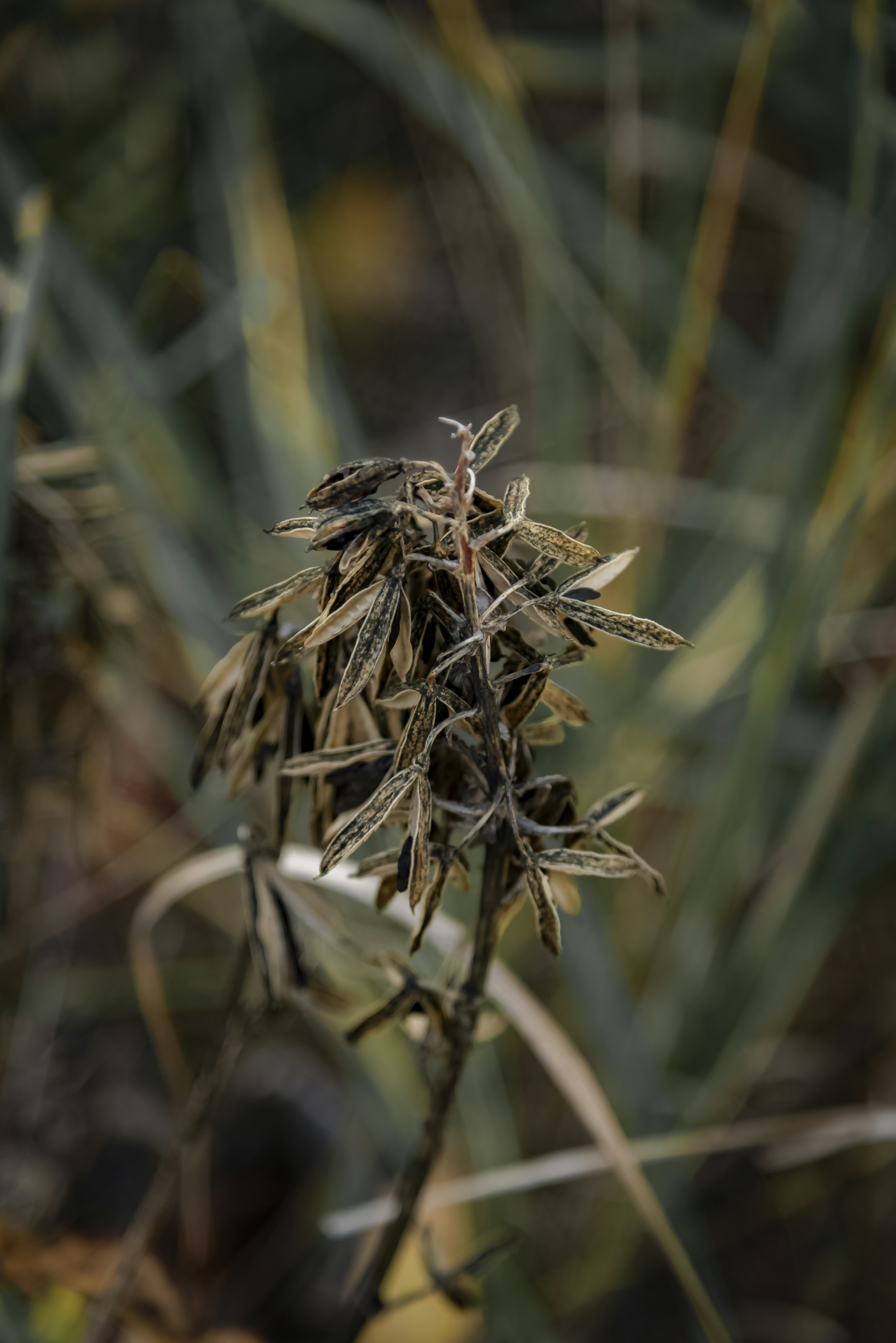 Photo by malwinanogaj