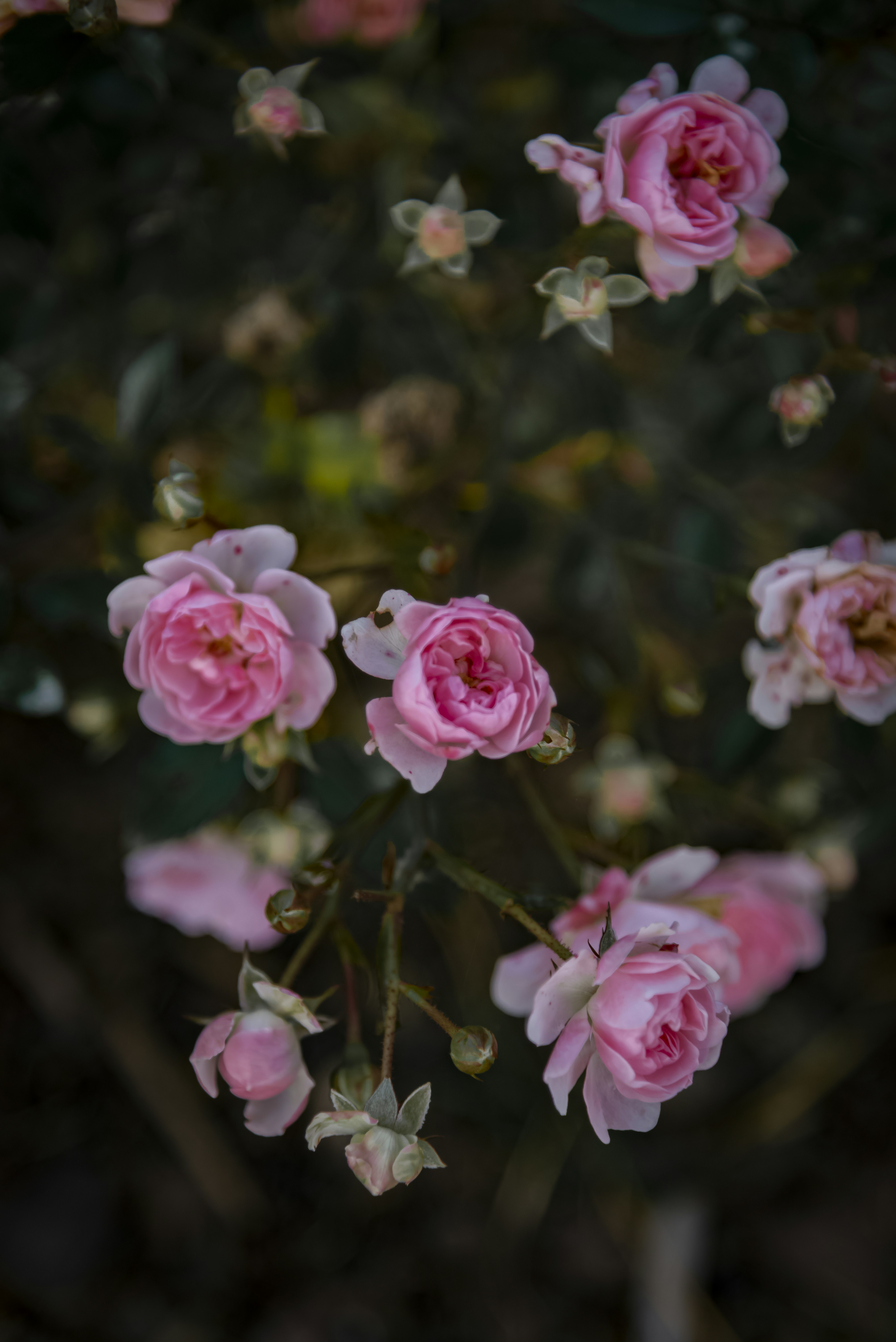 Photo by malwinanogaj