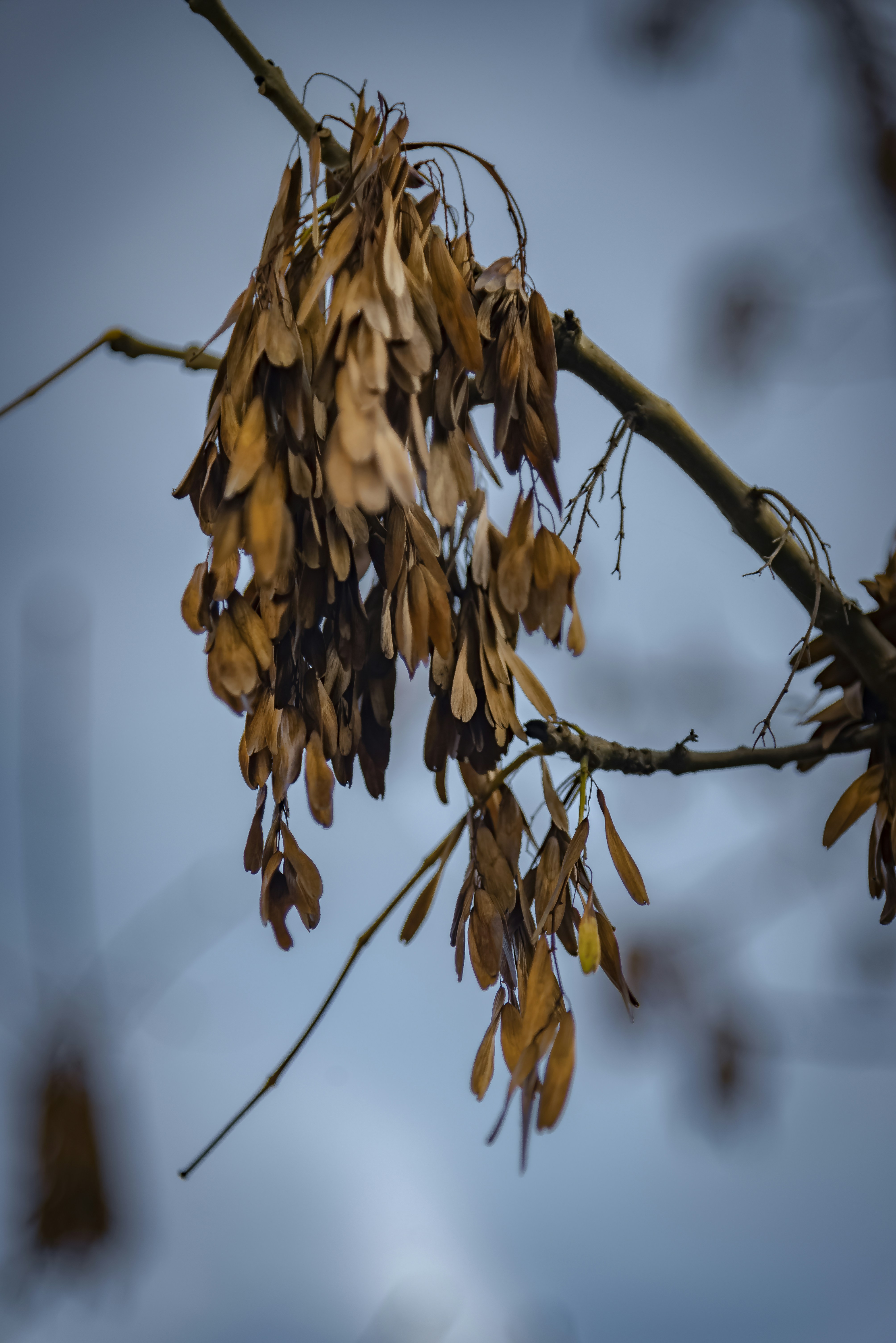 Photo by malwinanogaj