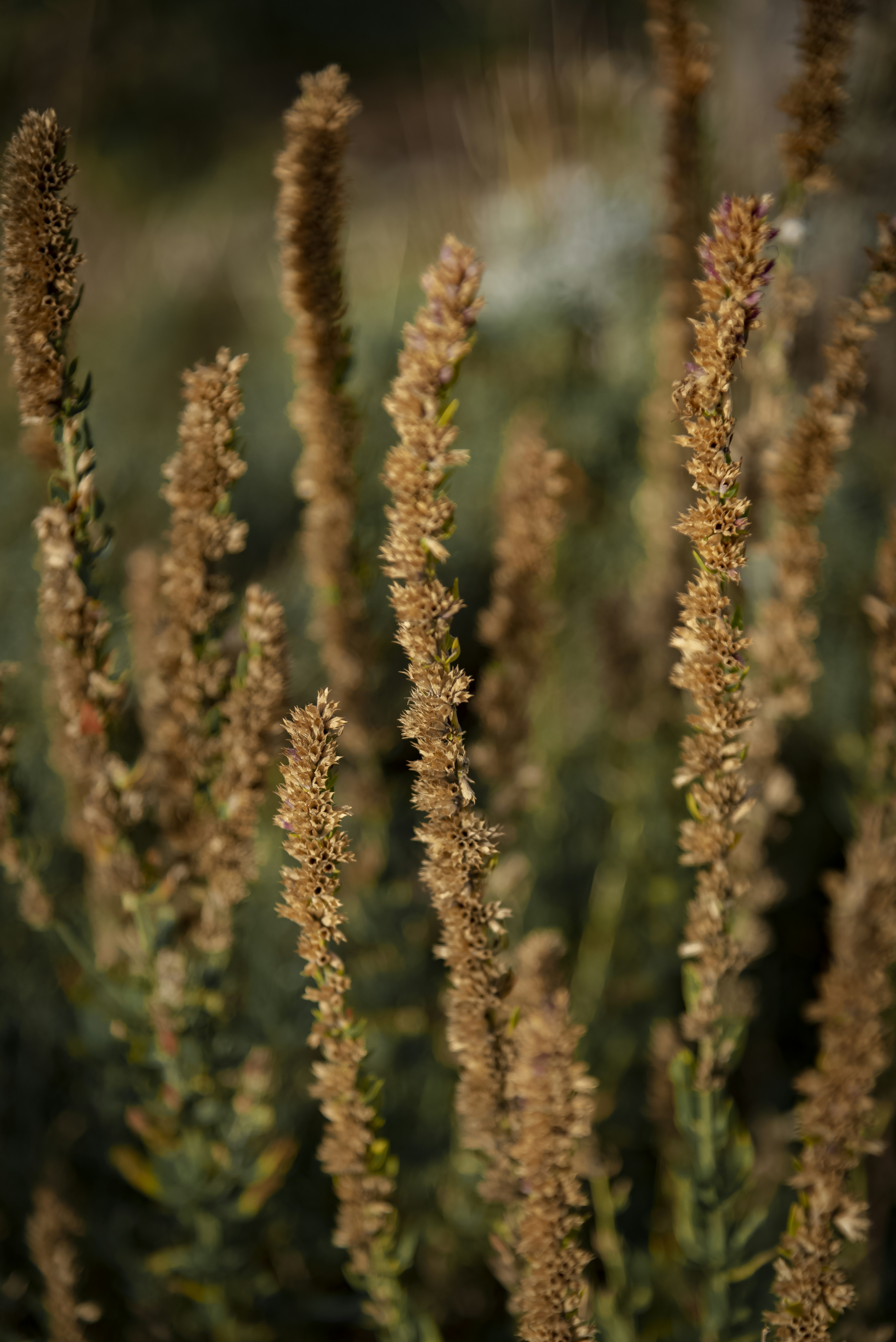 Photo by malwinanogaj