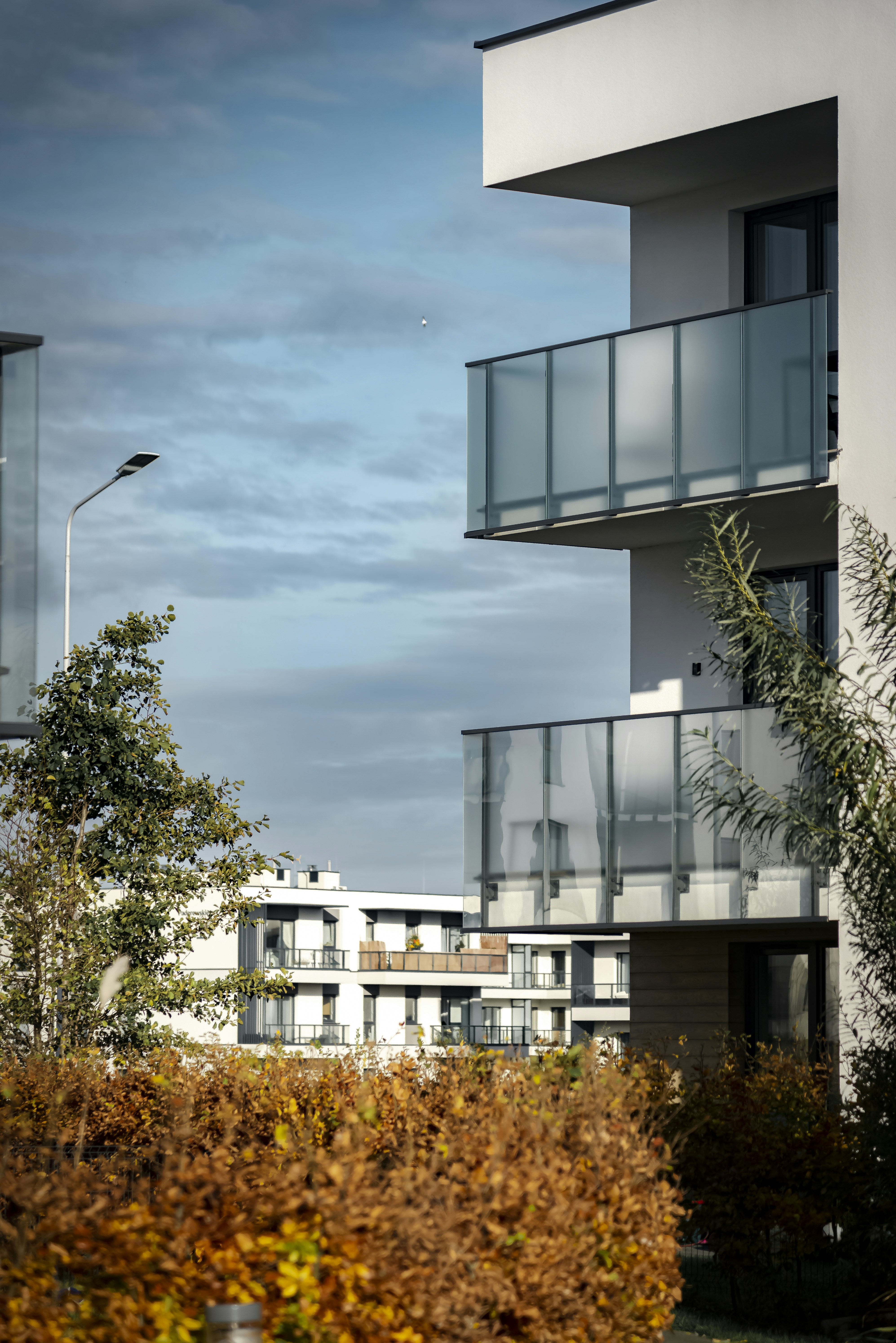 Photo by malwinanogaj