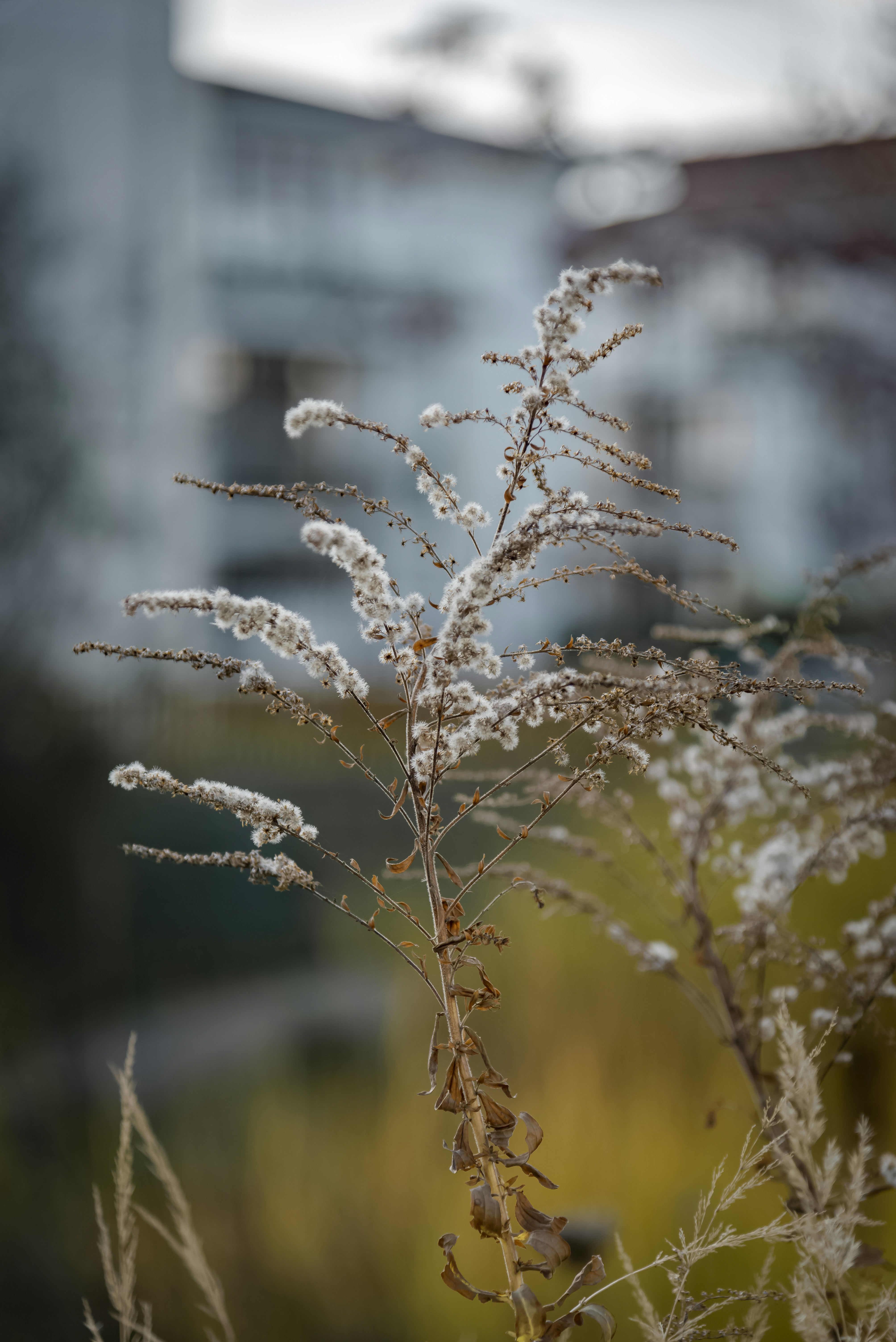 Photo by malwinanogaj