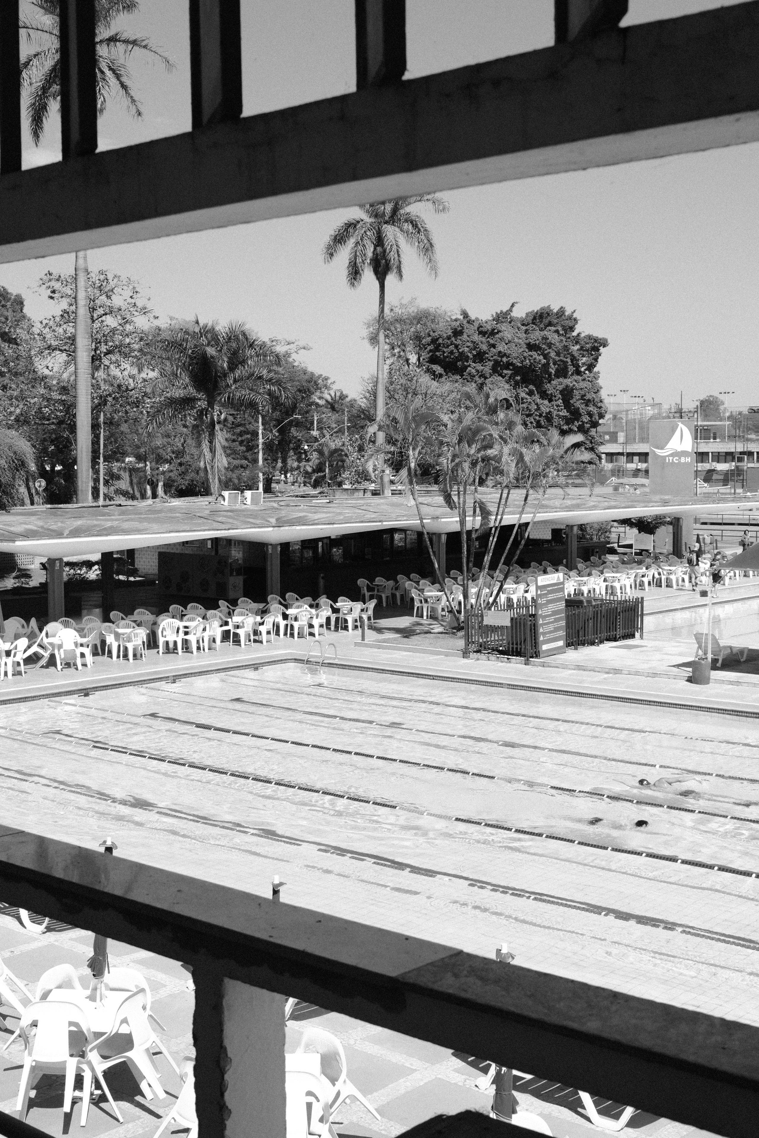 Empty swimming pool with lounge chairs and palm trees