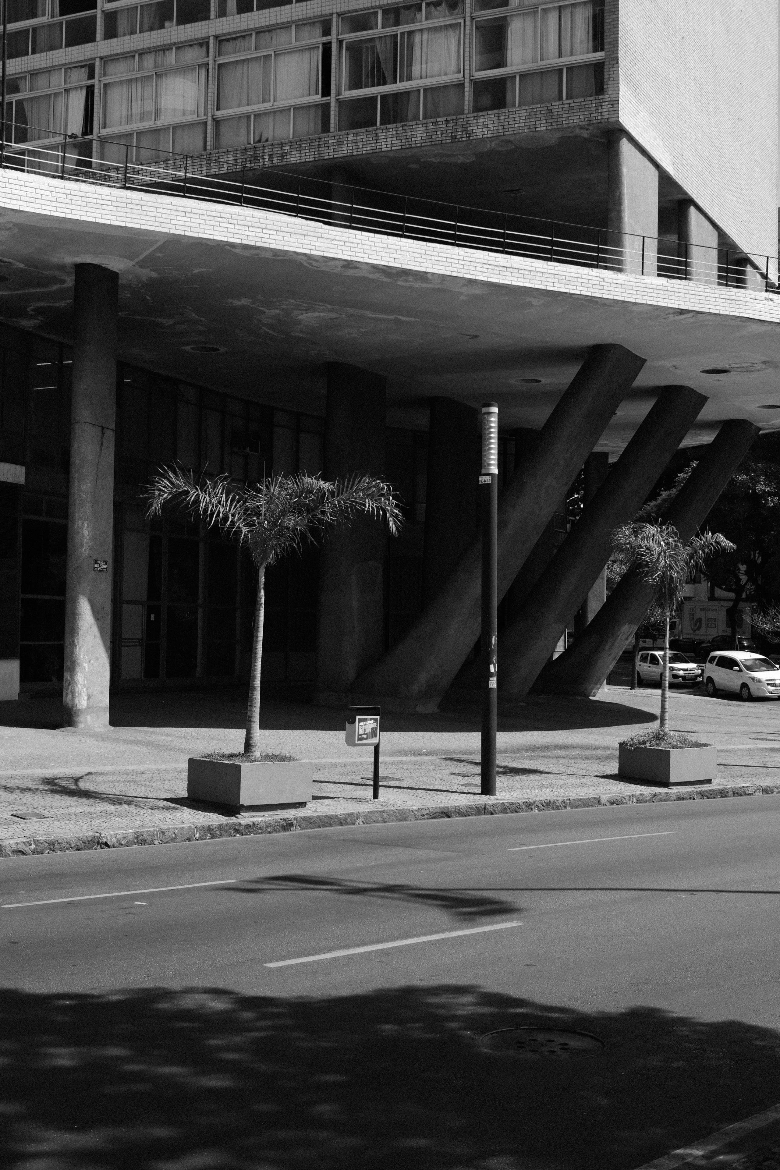 コンクリートの柱と木々のあるモダンな建物。