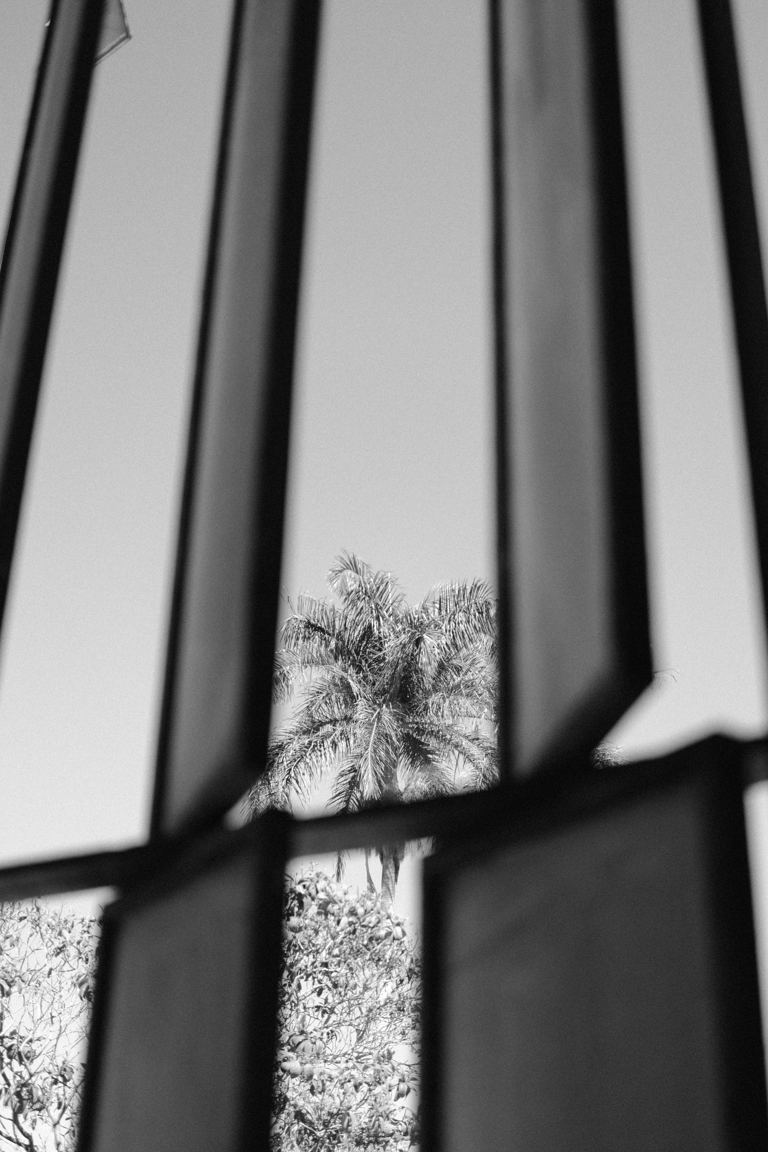 Photo by gustavohvenegaard