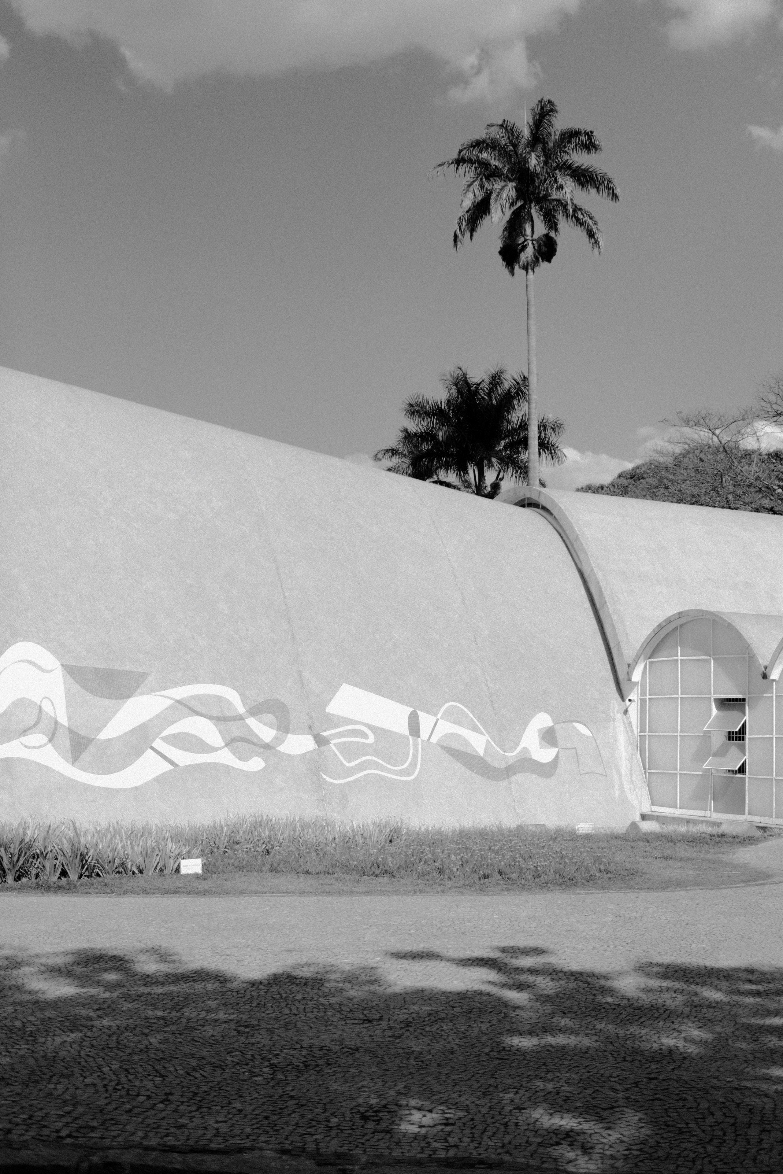 ヤシの木と抽象的な壁画のある湾曲した建物