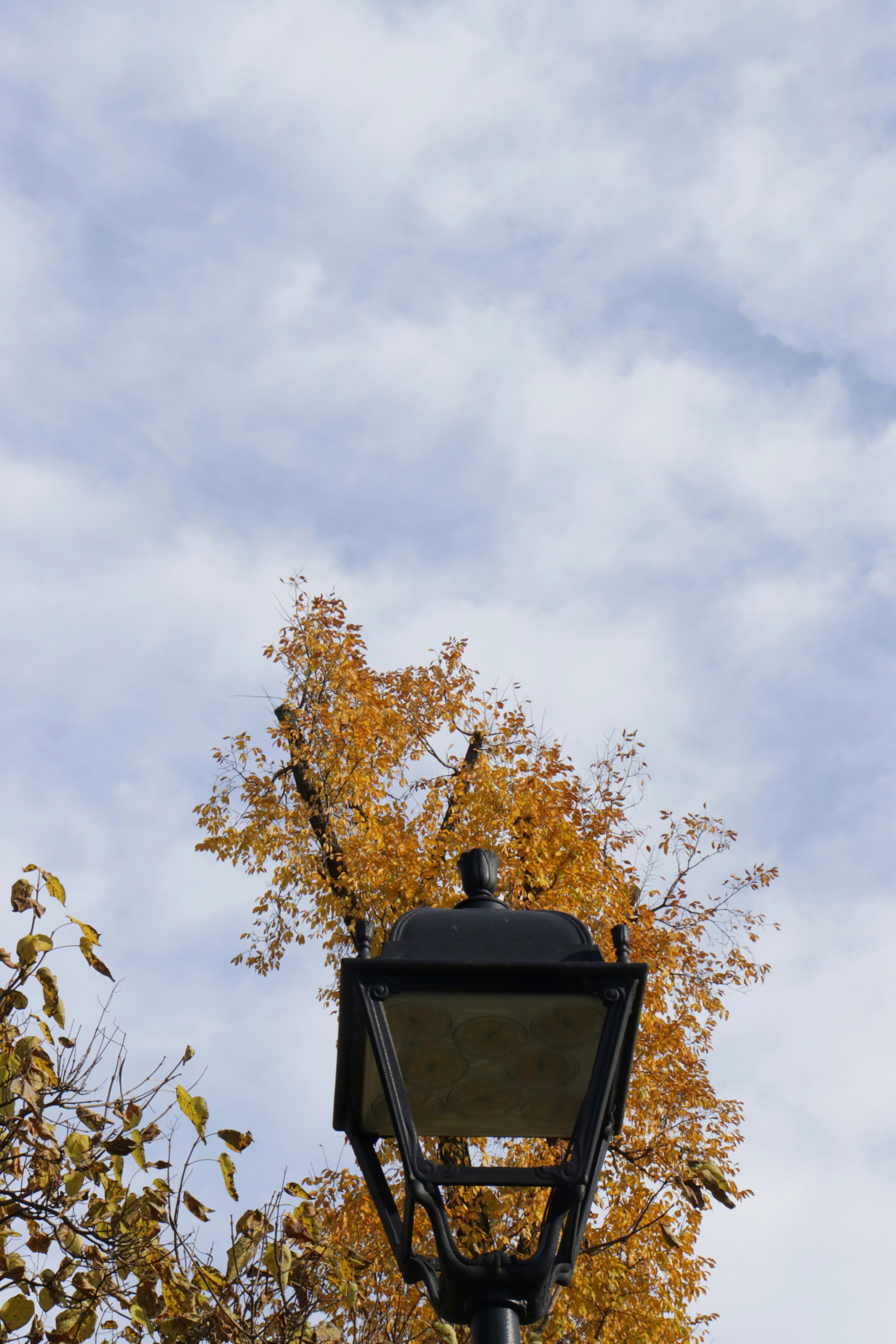 Photo by bored_mongoose