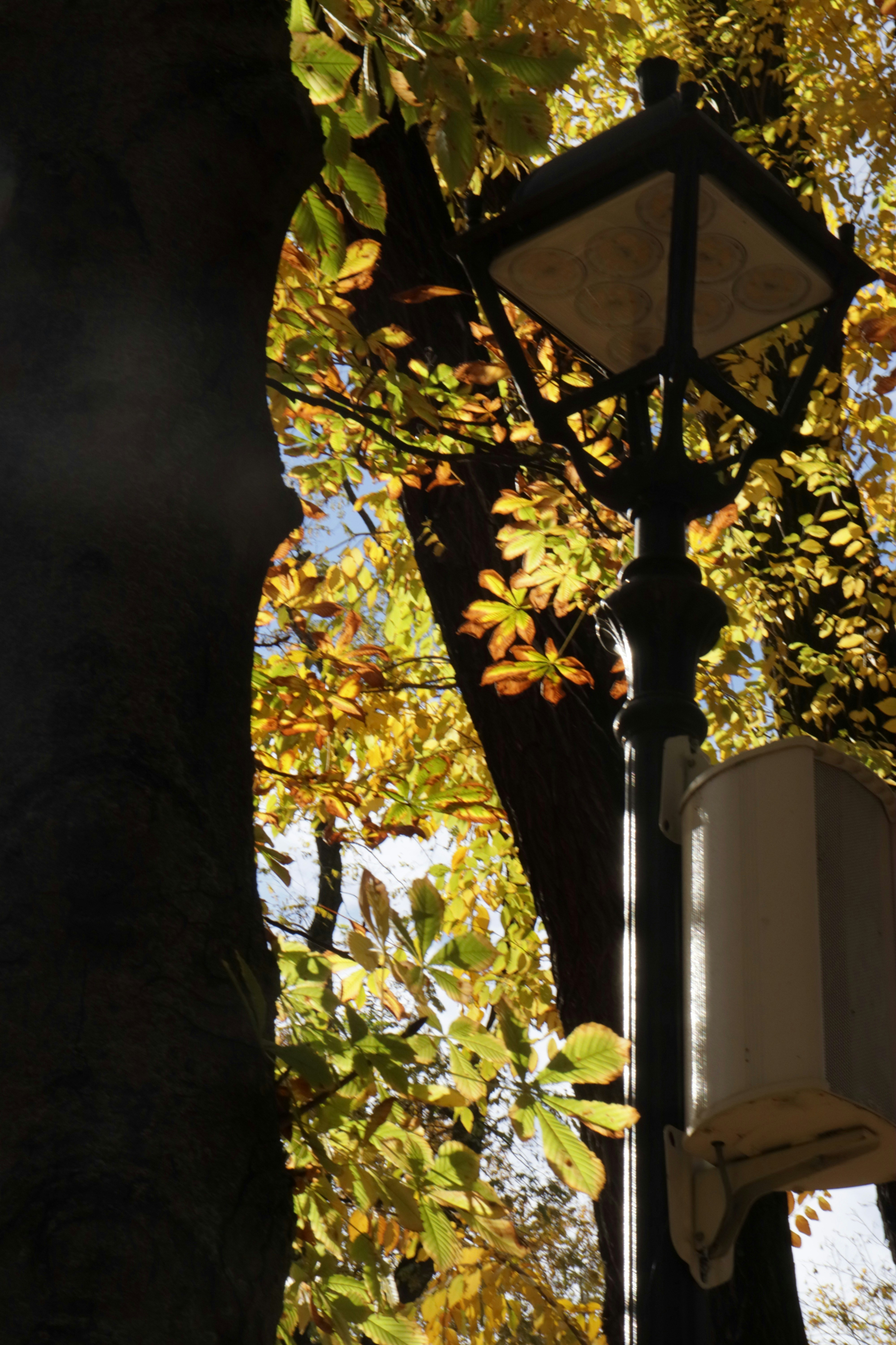 Photo by bored_mongoose