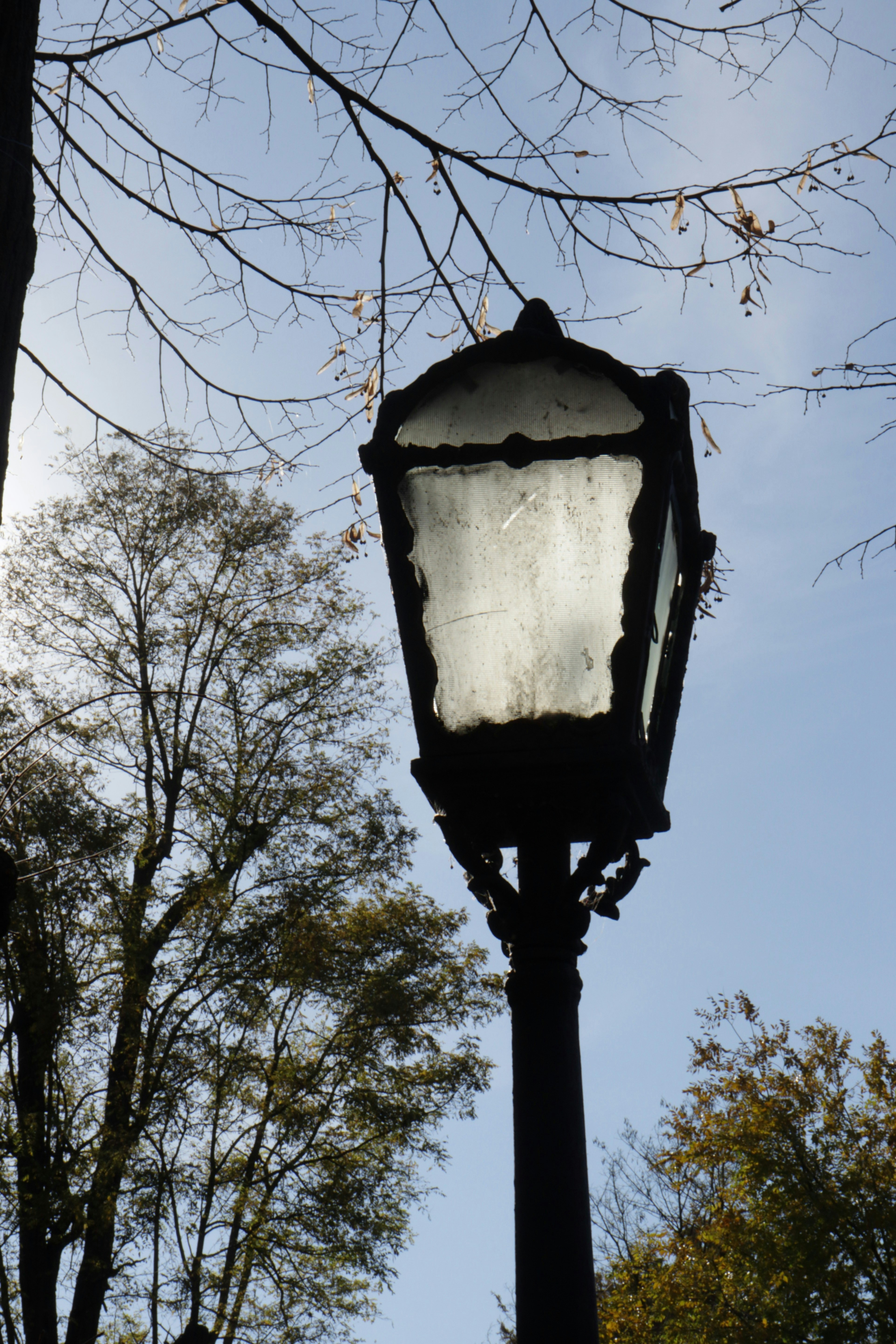 Photo by bored_mongoose