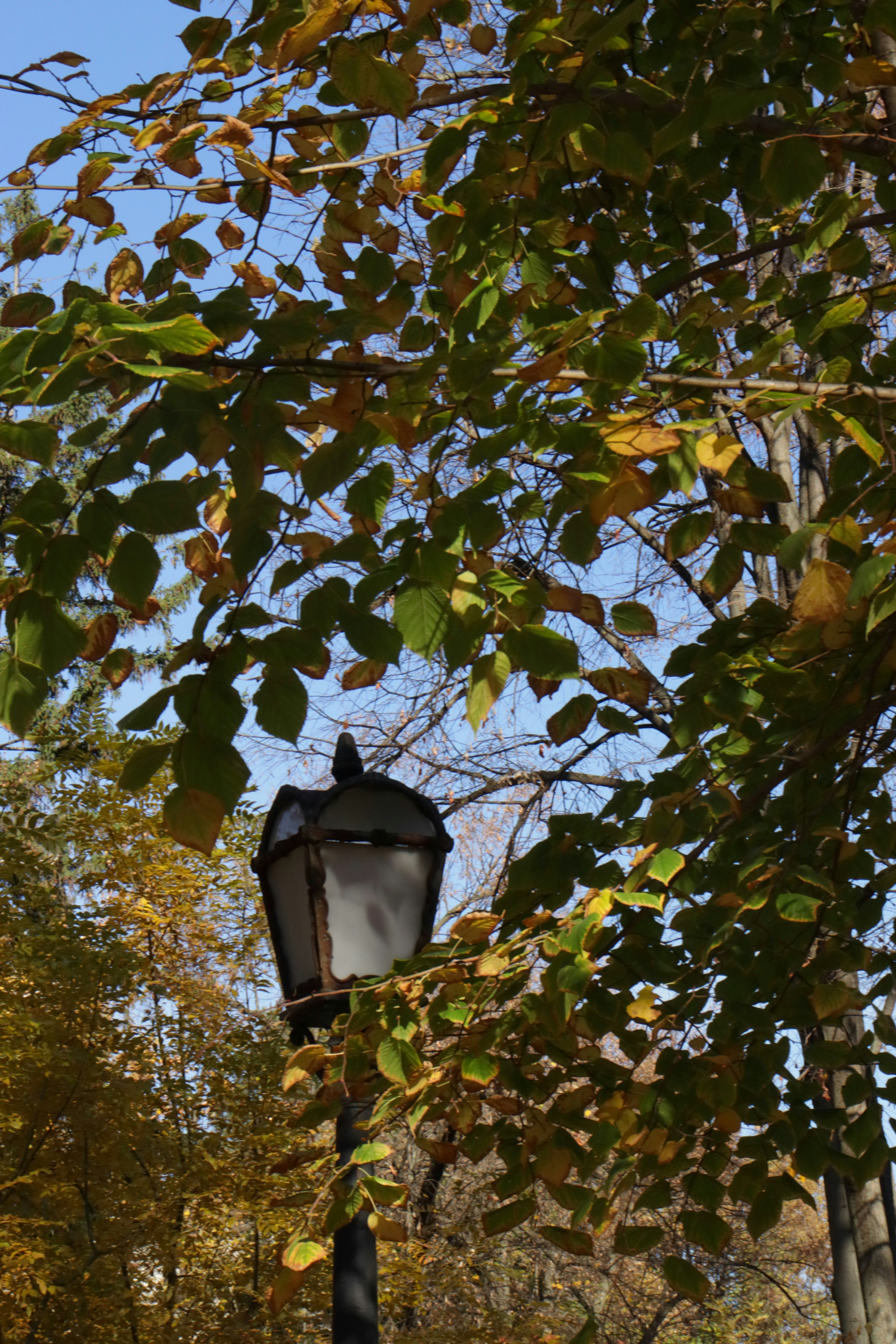 Photo by bored_mongoose