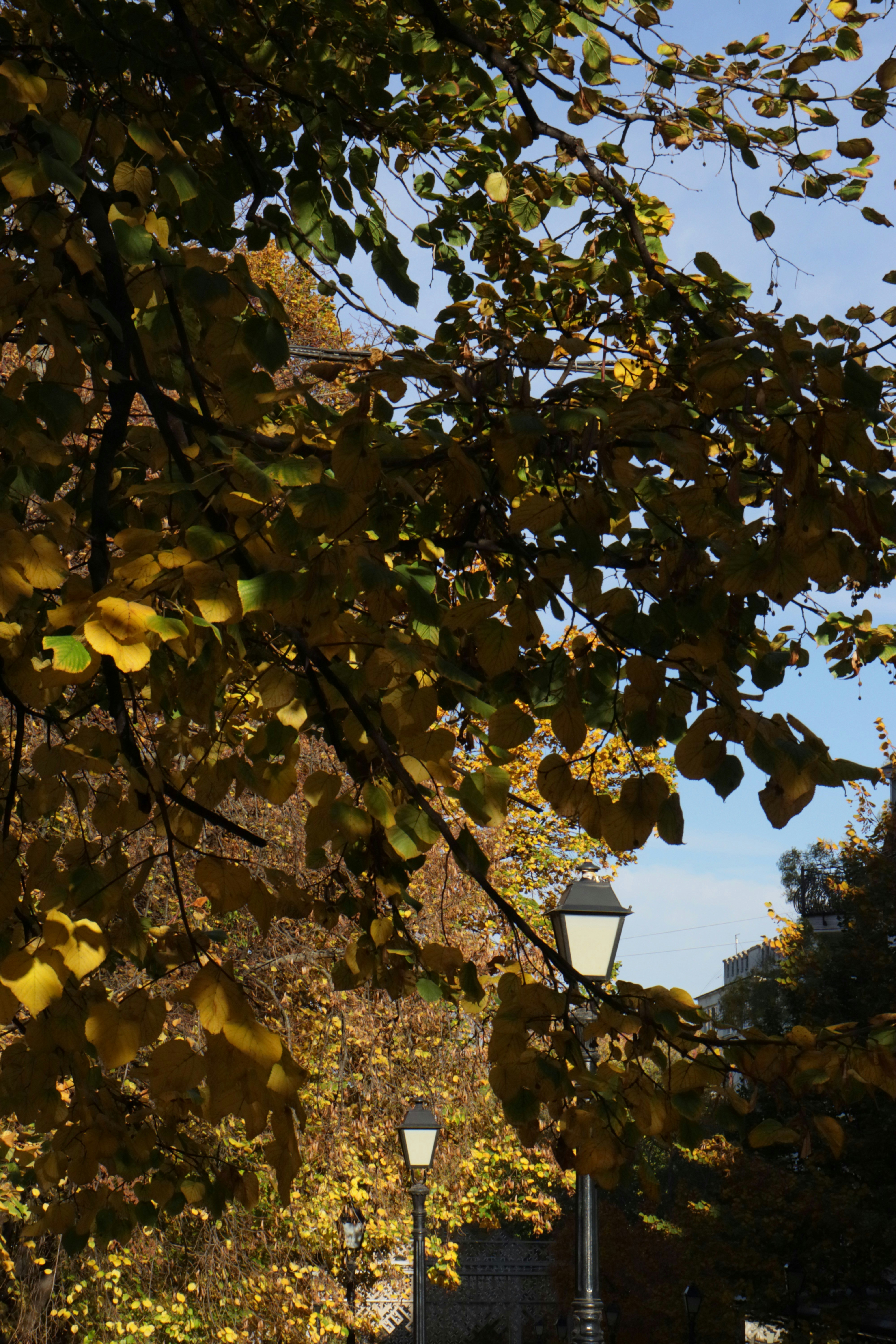 Photo by bored_mongoose