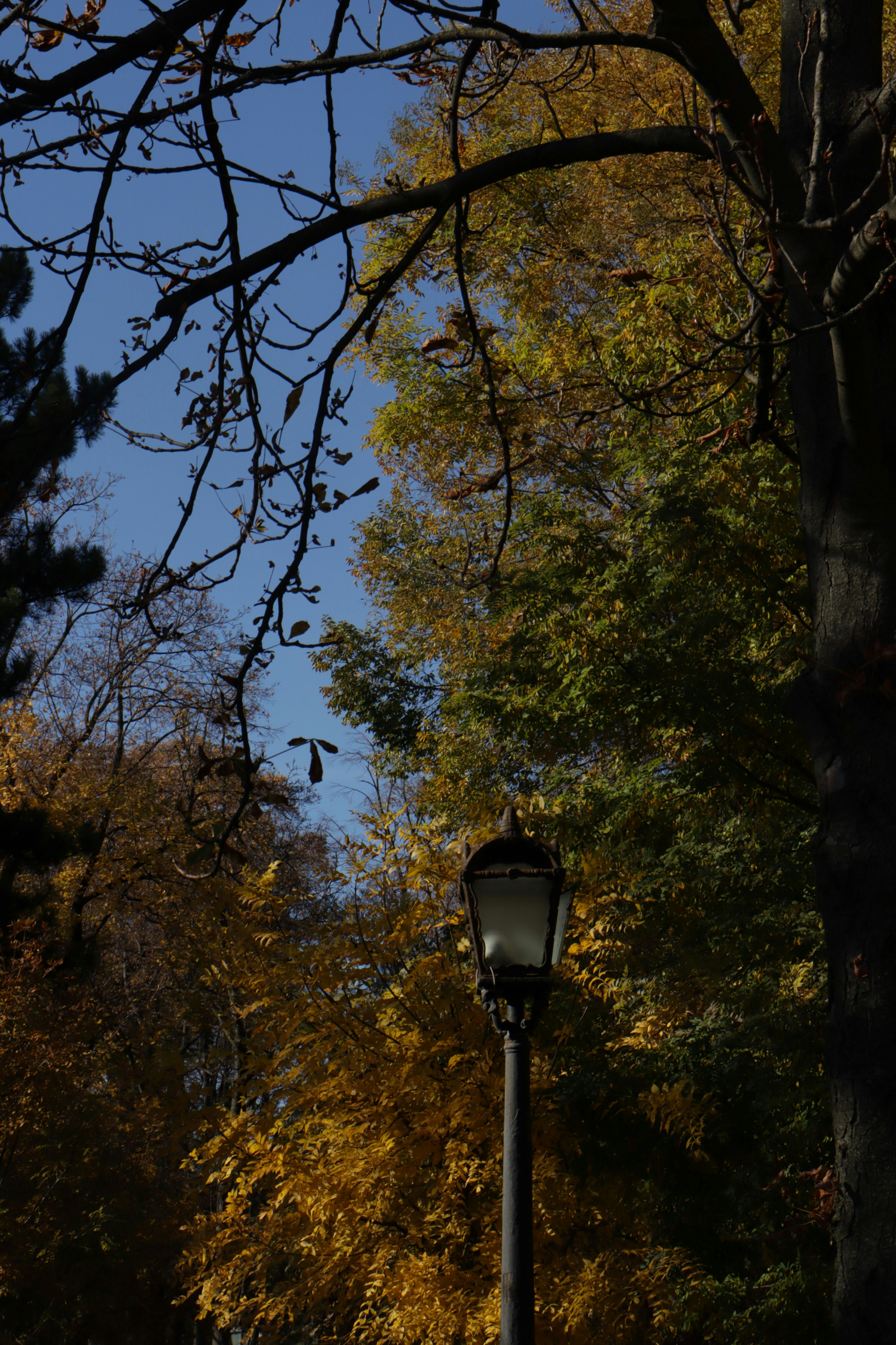 Photo by bored_mongoose