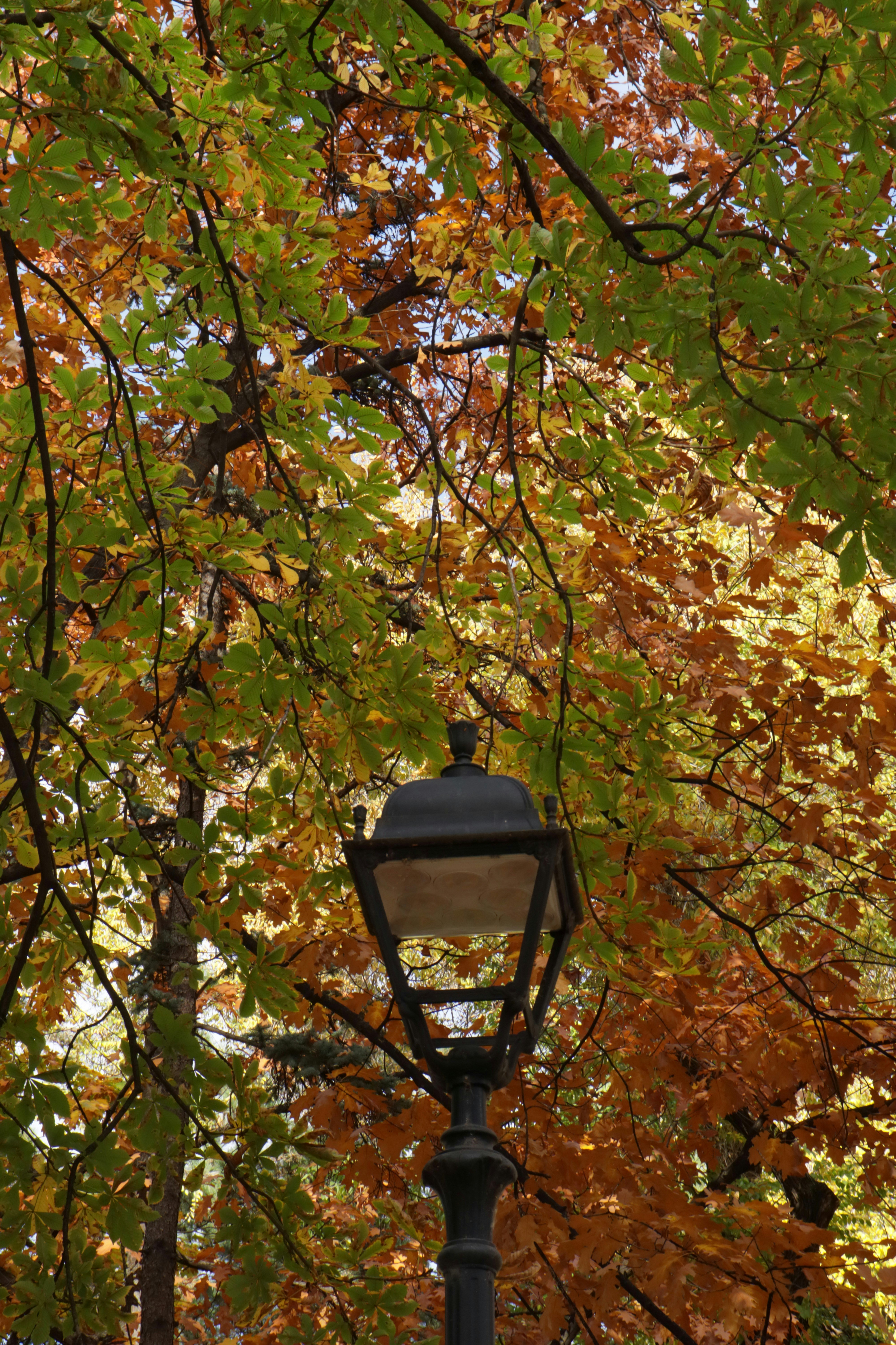 Photo by bored_mongoose