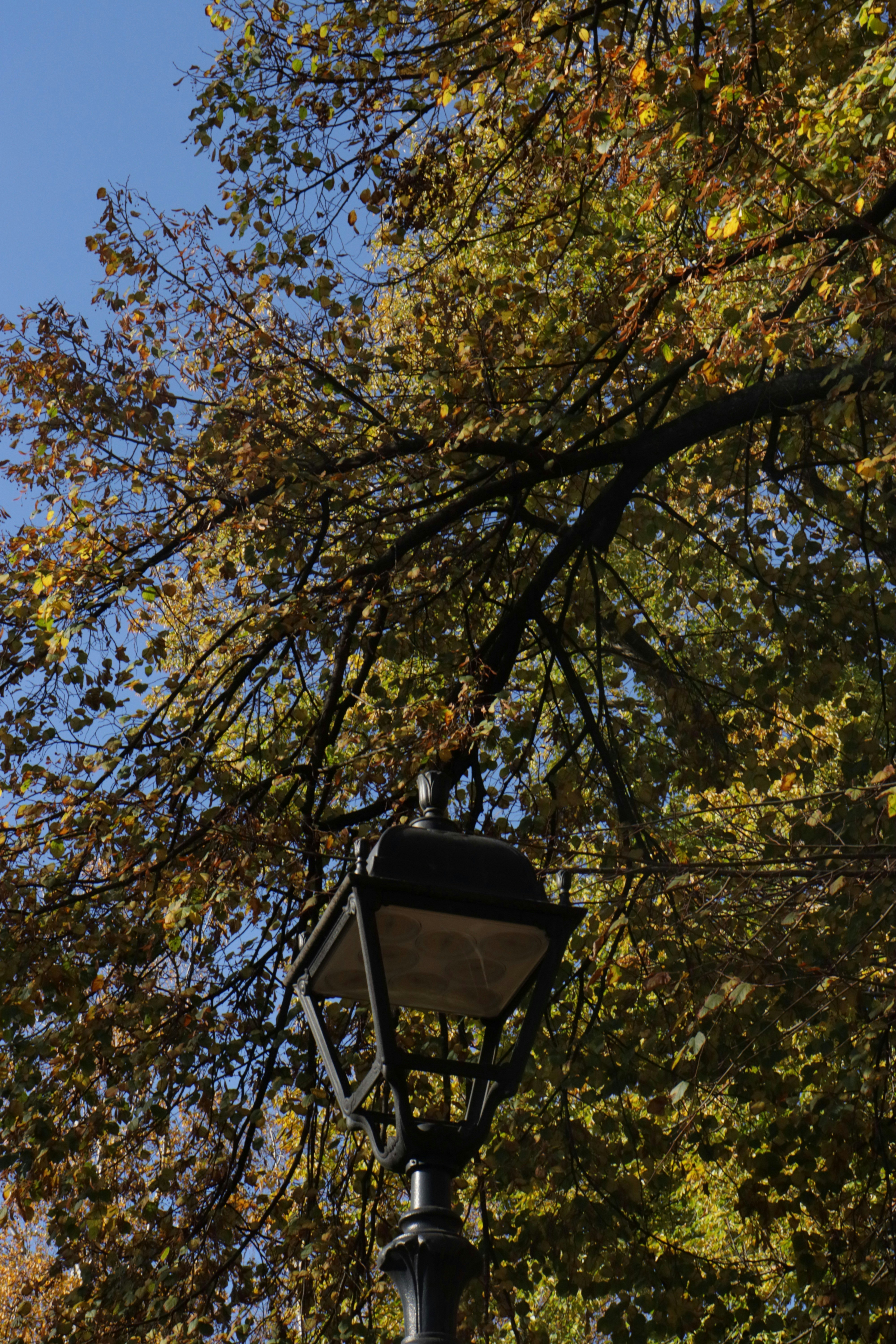 Photo by bored_mongoose