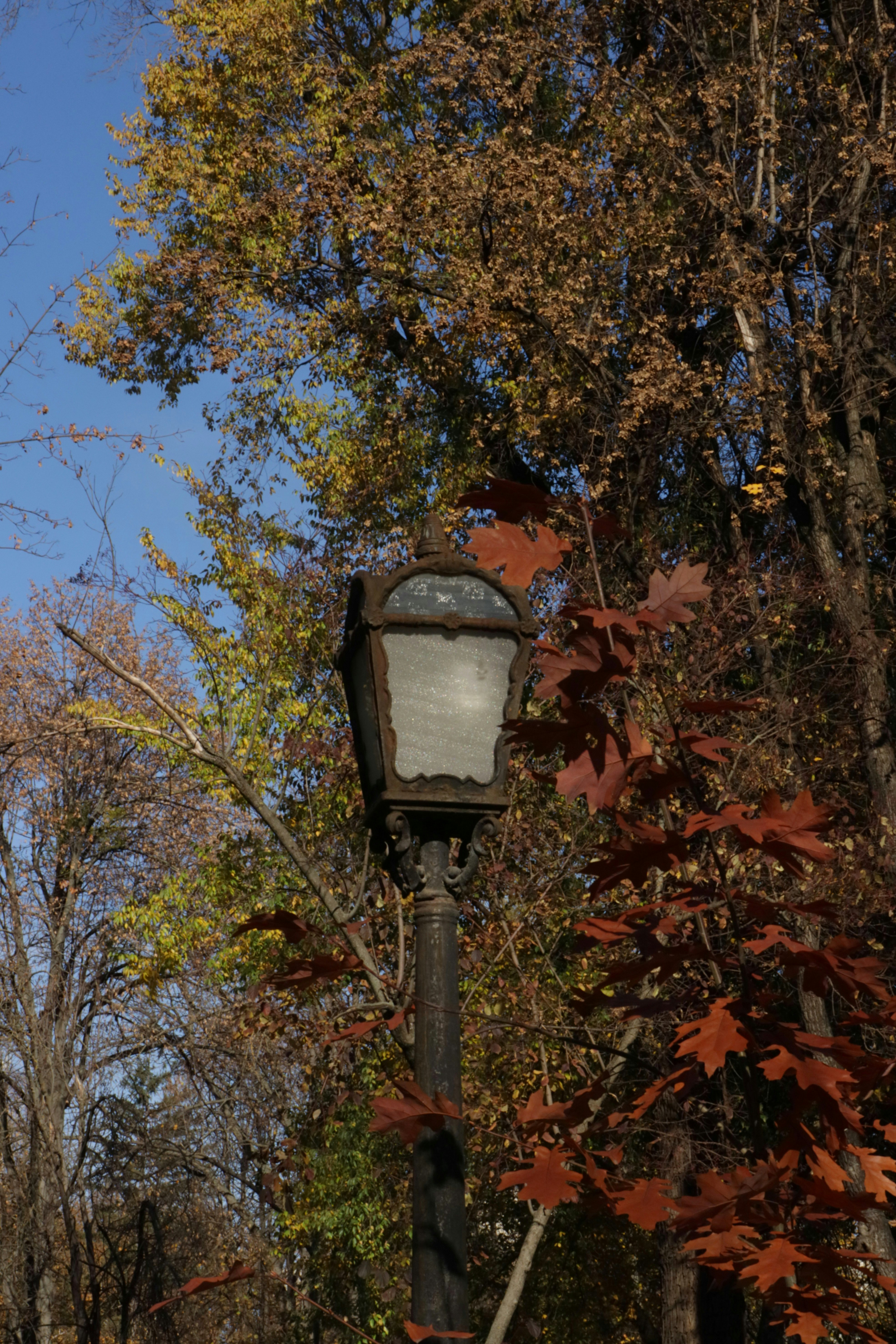 Photo by bored_mongoose