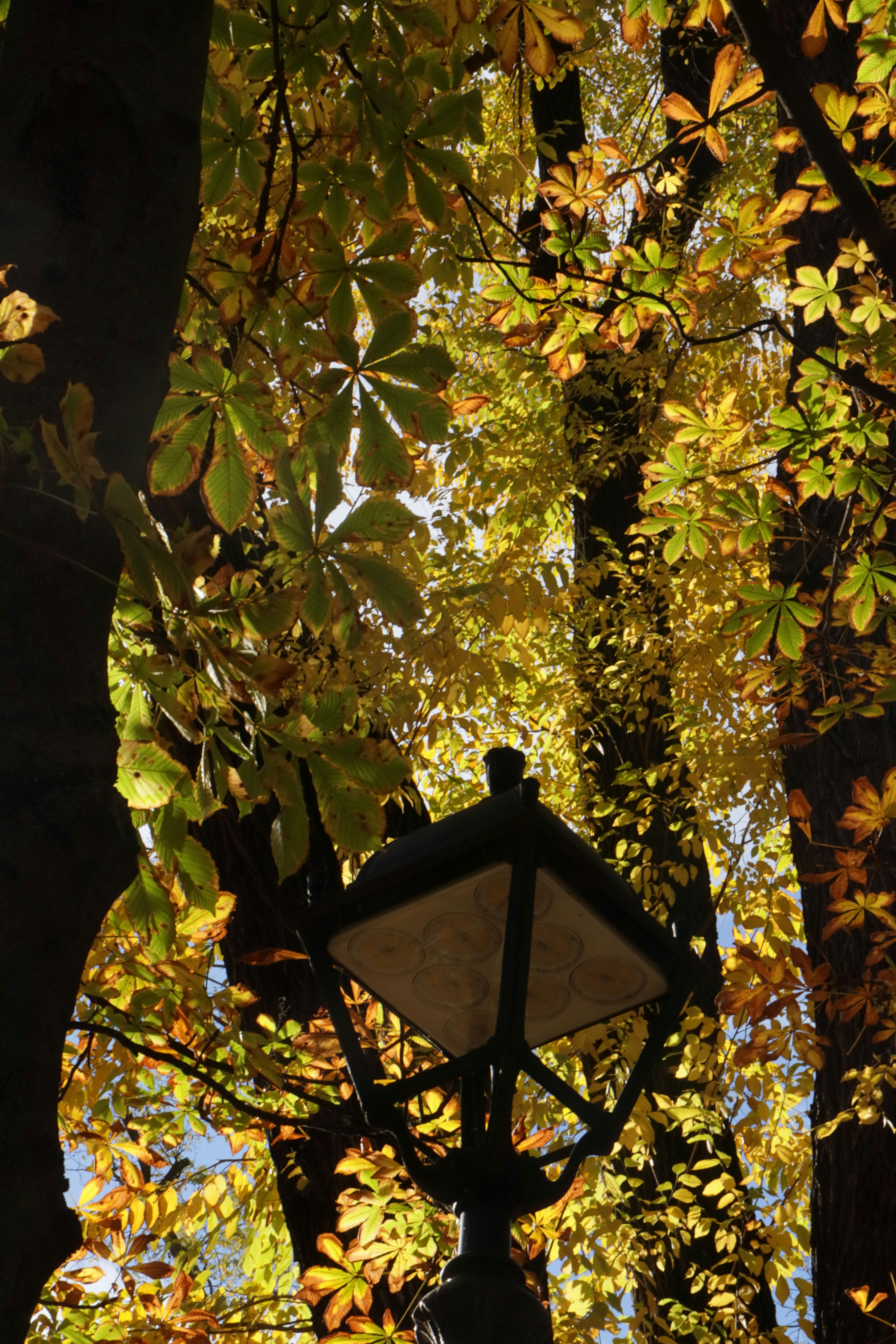 Photo by bored_mongoose