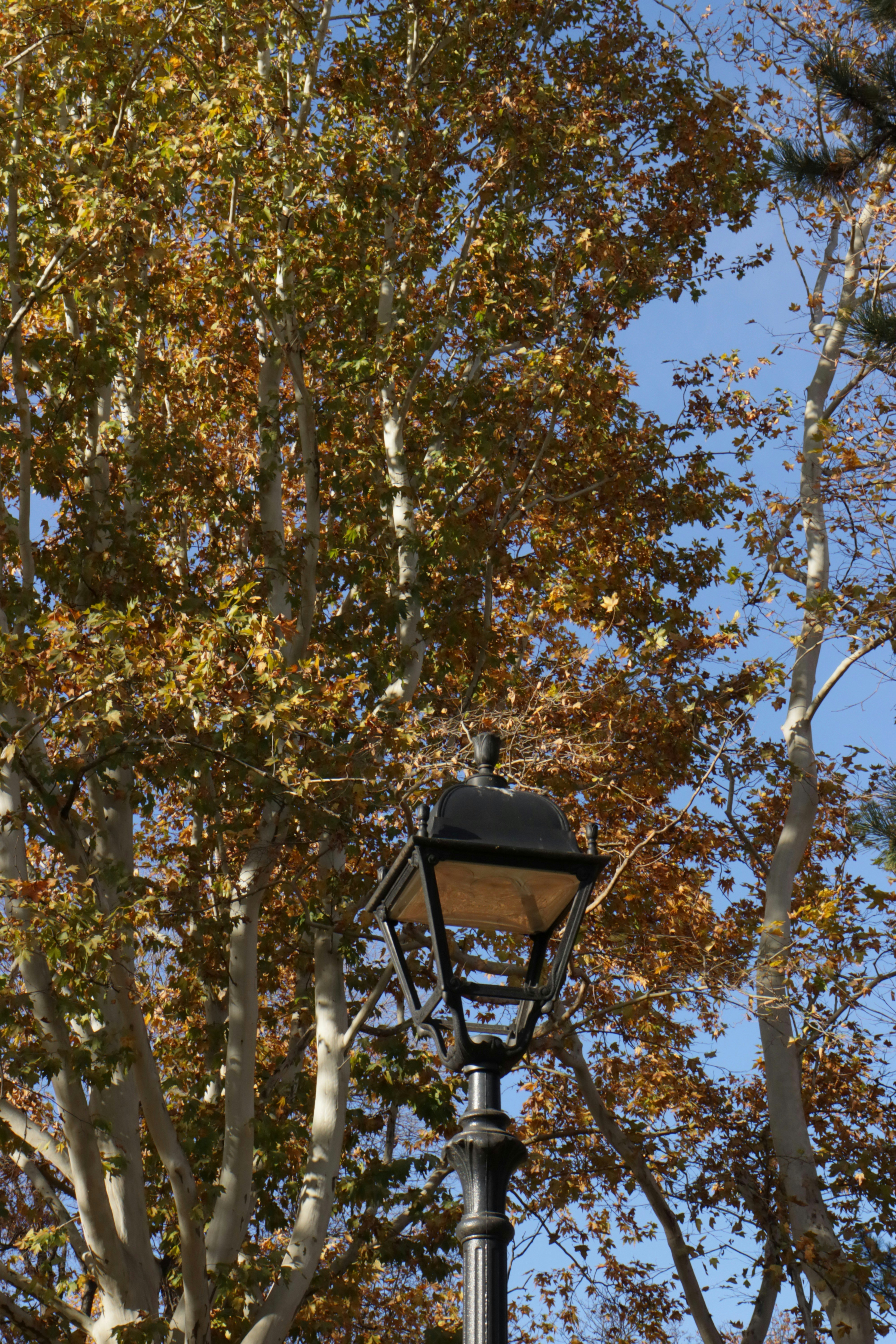 Photo by bored_mongoose