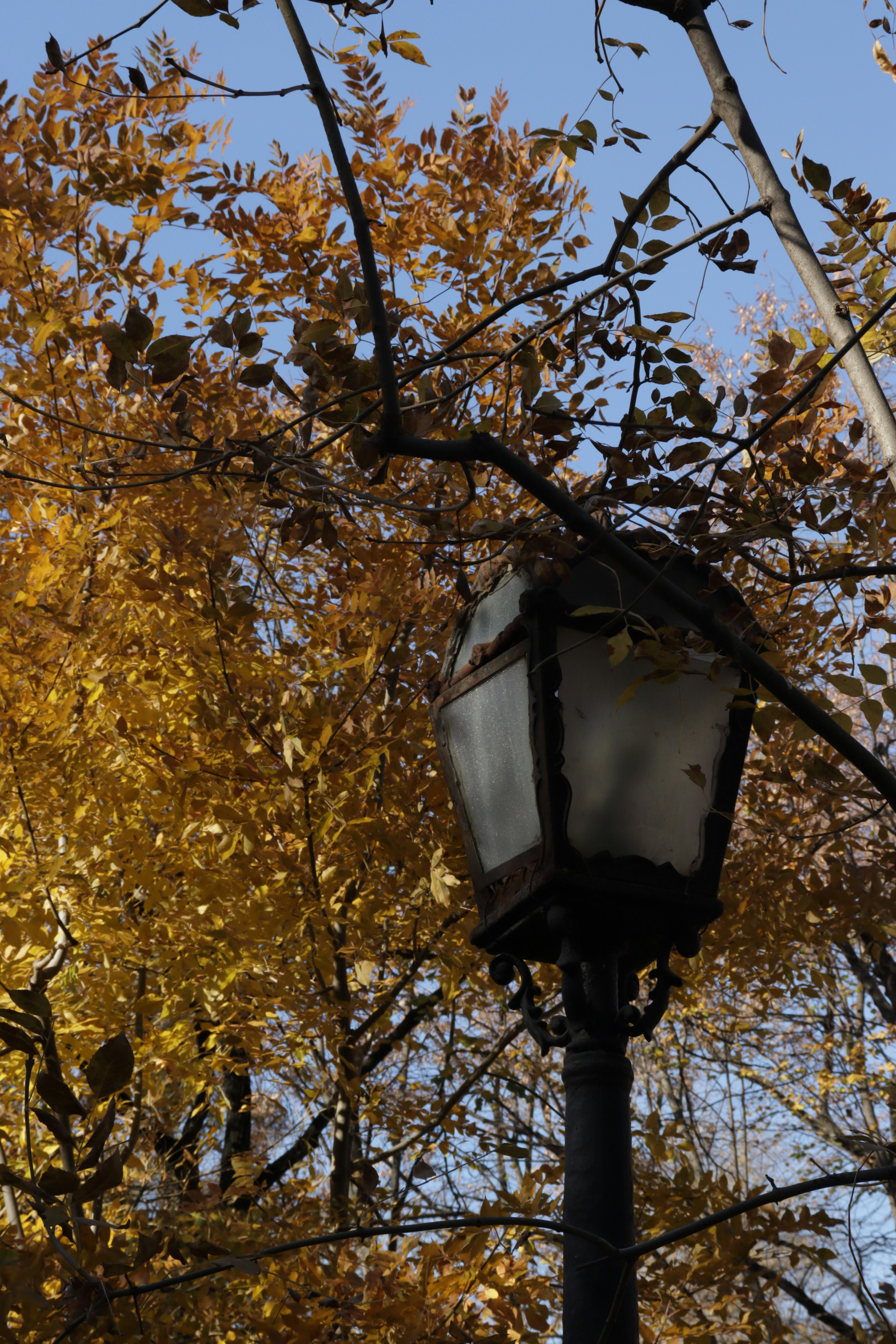 Photo by bored_mongoose