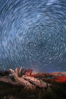 Star trails circle above the fear of the Lord is the beginning of wisdom