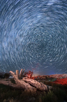 Star trails circle above the fear of the Lord is the beginning of wisdom