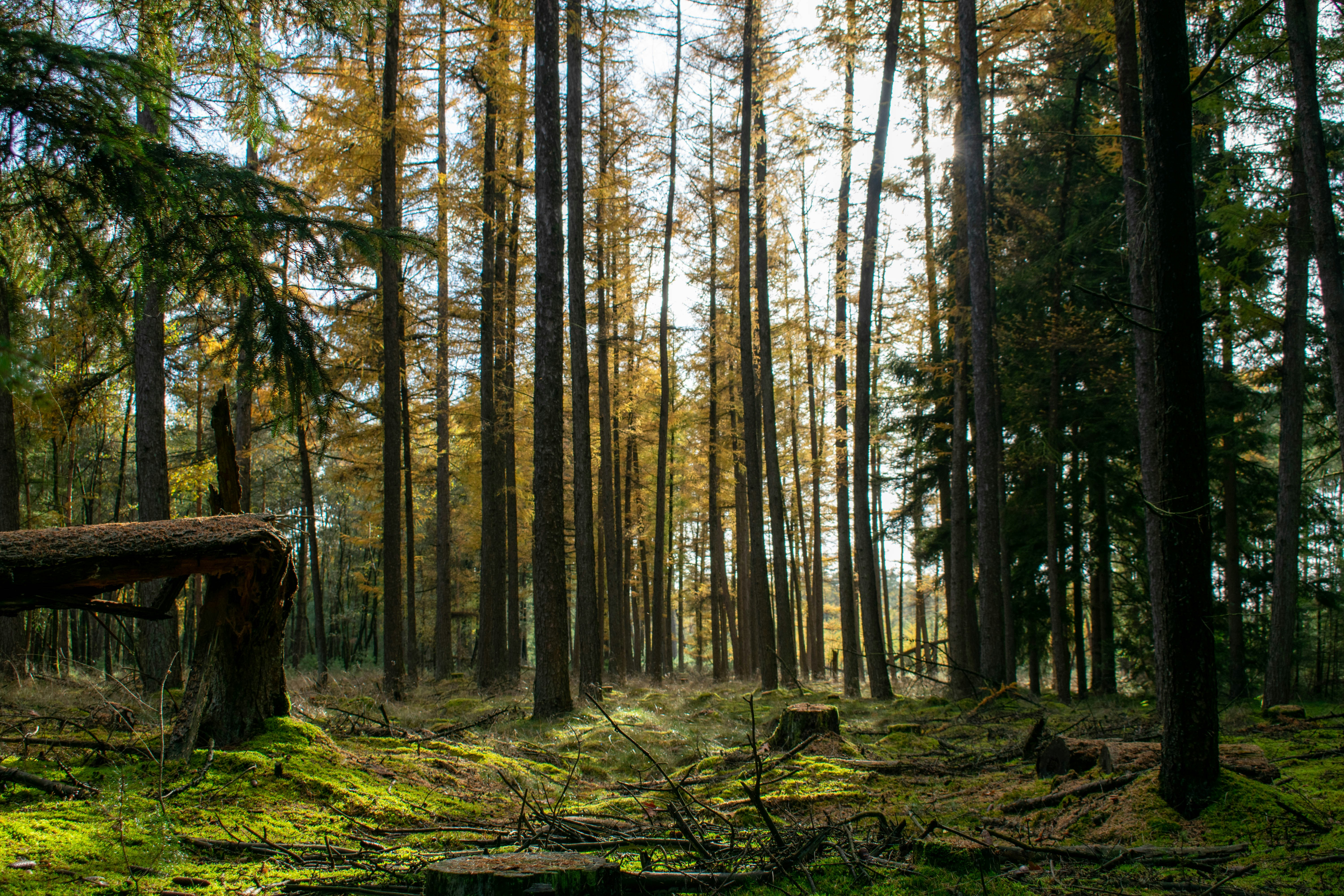 Photo by tea_in_deventer