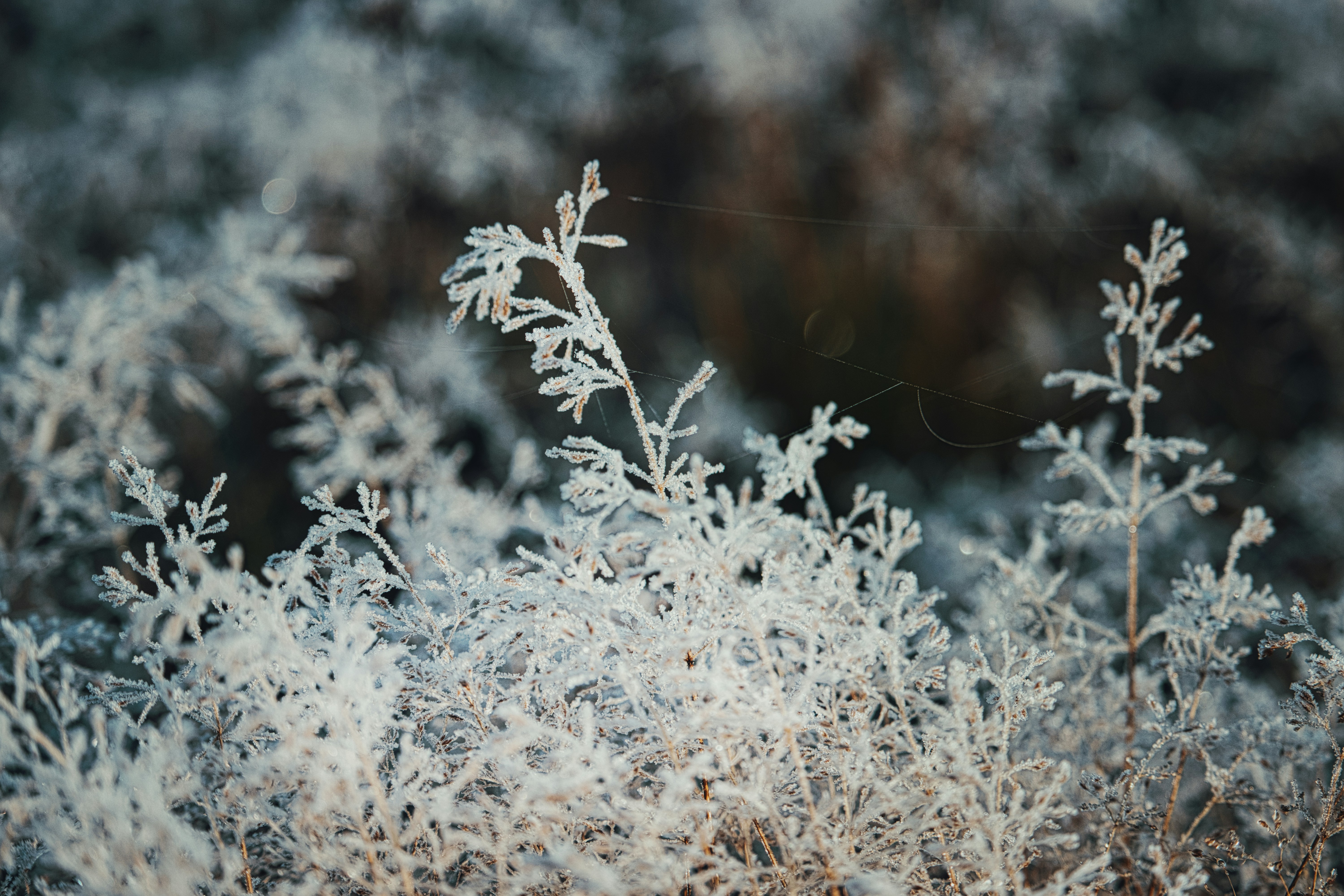 Photo by shottrotter