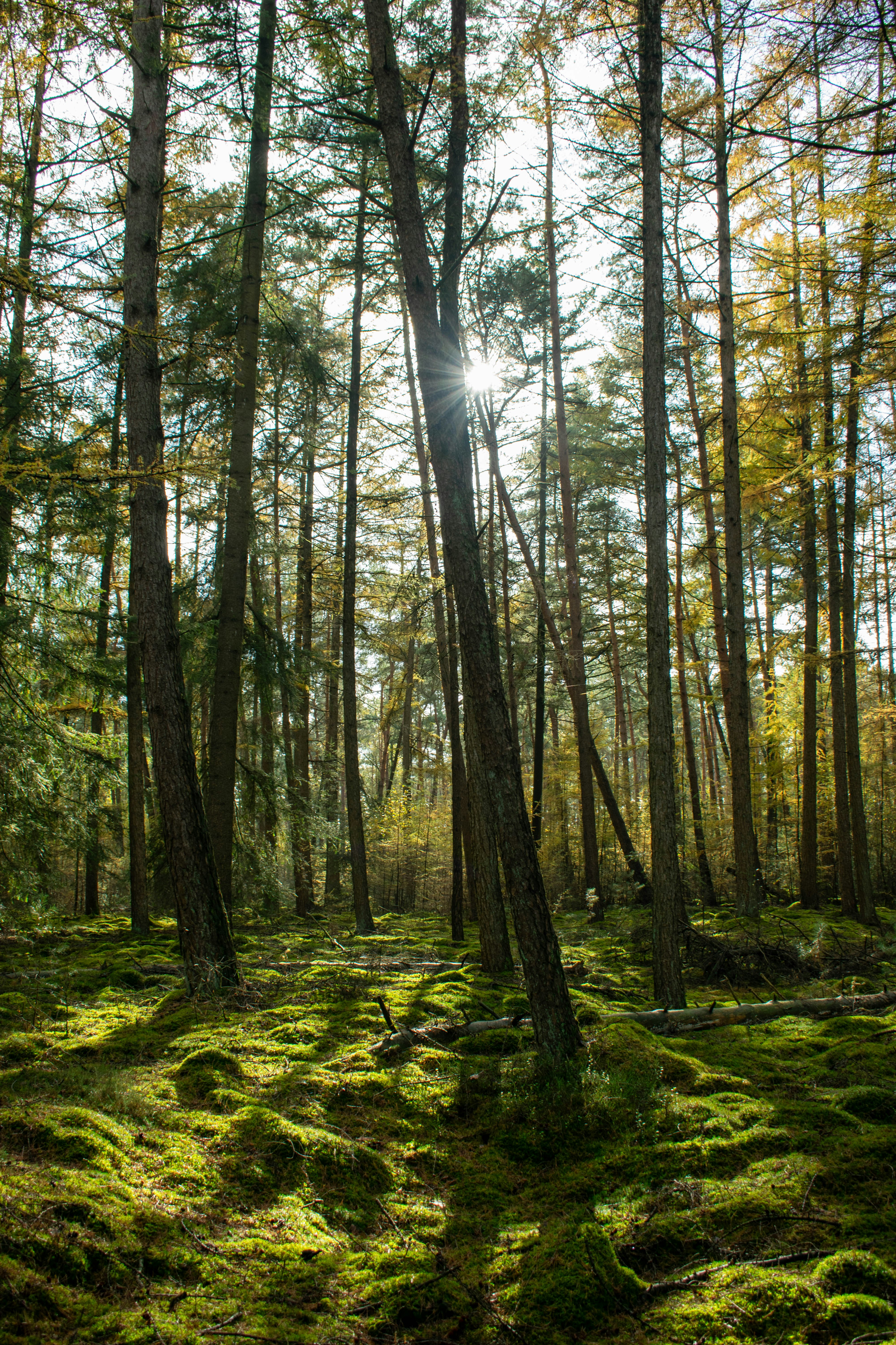 Photo by tea_in_deventer